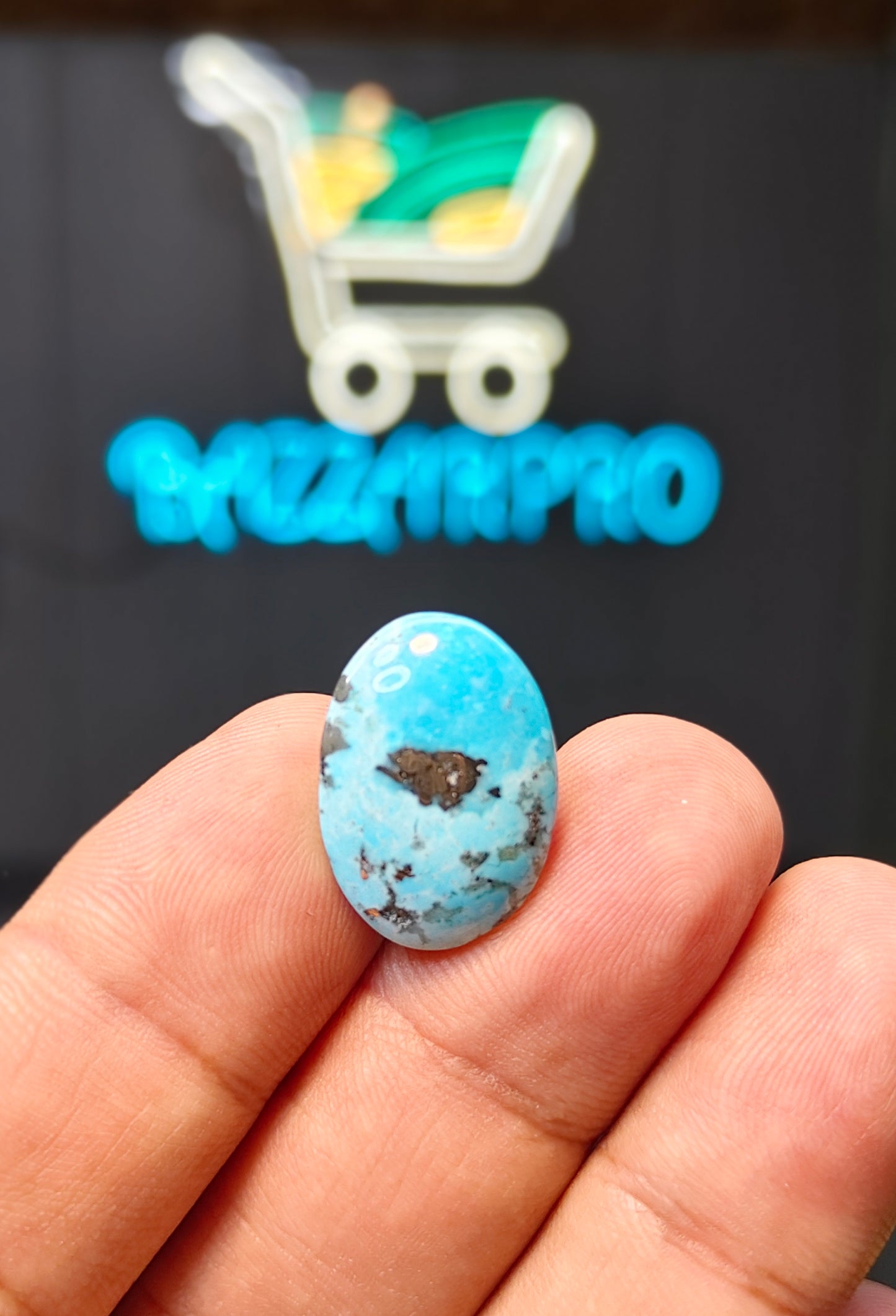 Nisha Puri Feroza (Sona Patti)