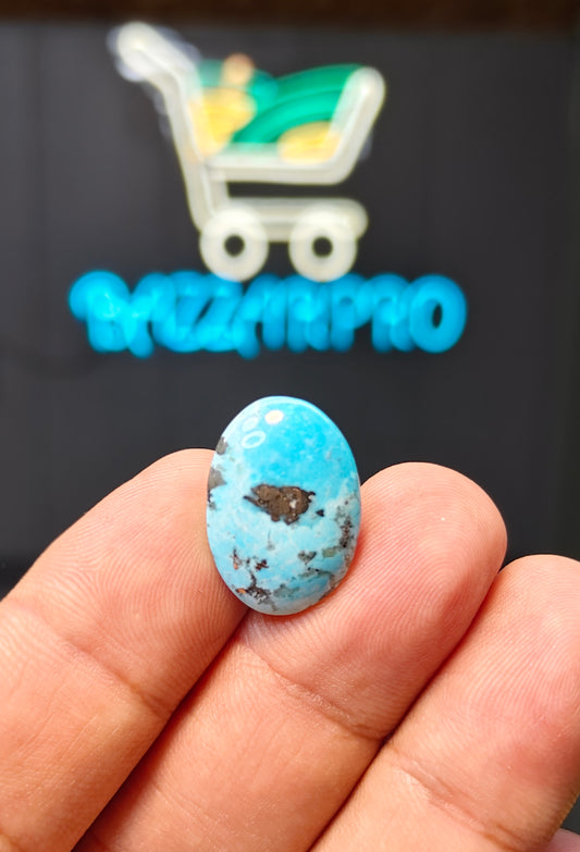 Nisha Puri Feroza (Sona Patti)