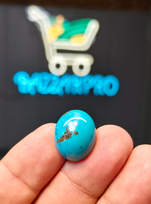 Nisha Puri Feroza (Sona Patti)