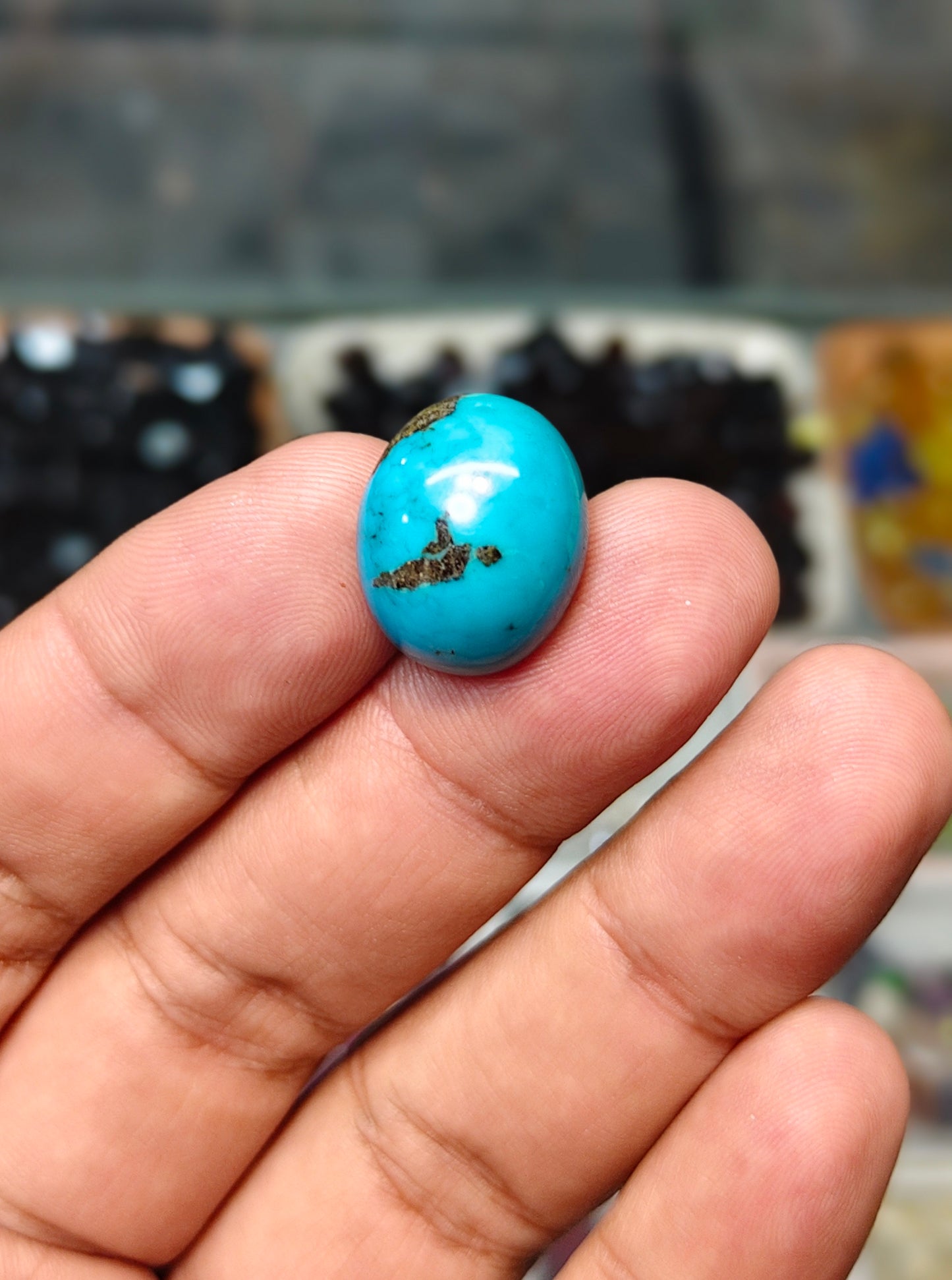 Nisha Puri Feroza (Sona Patti)