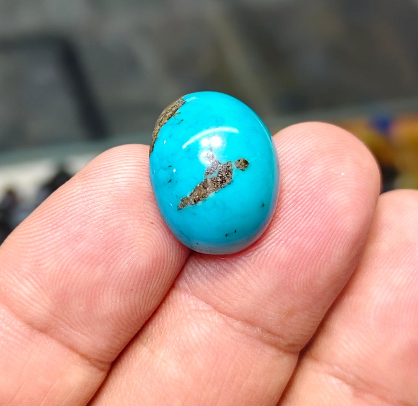 Nisha Puri Feroza (Sona Patti)