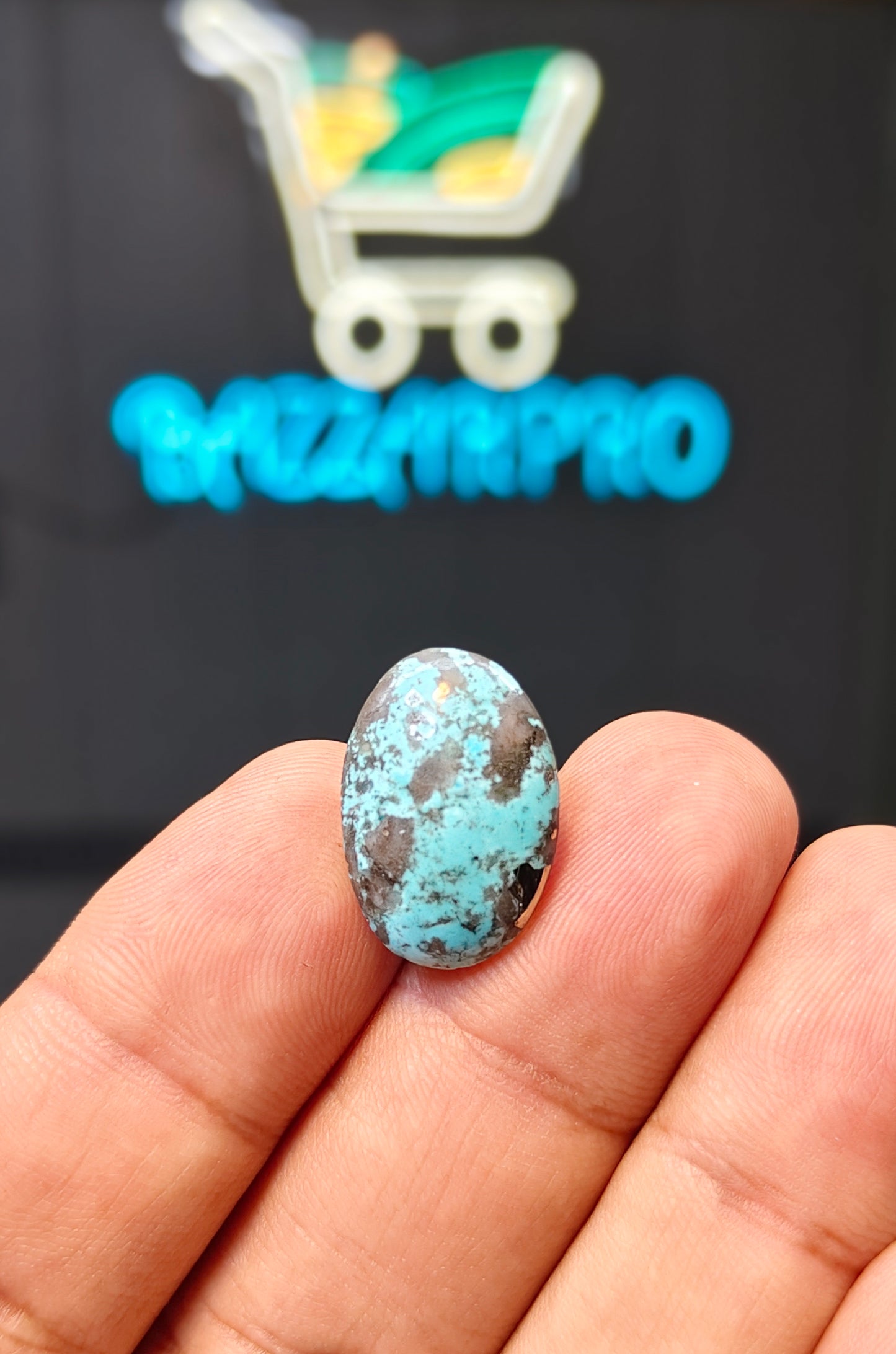 Nisha Puri Feroza (Sona Patti)