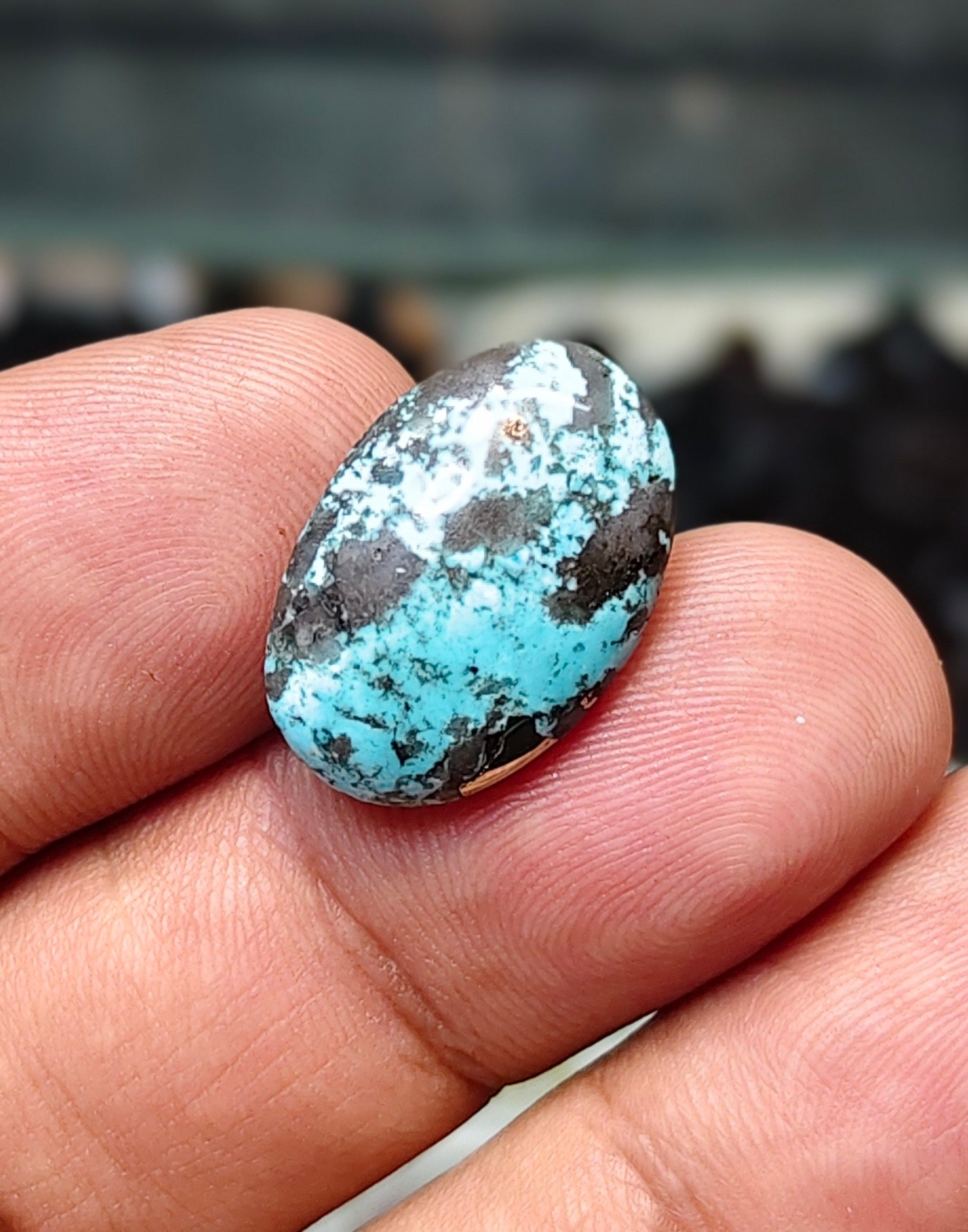 Nisha Puri Feroza (Sona Patti)