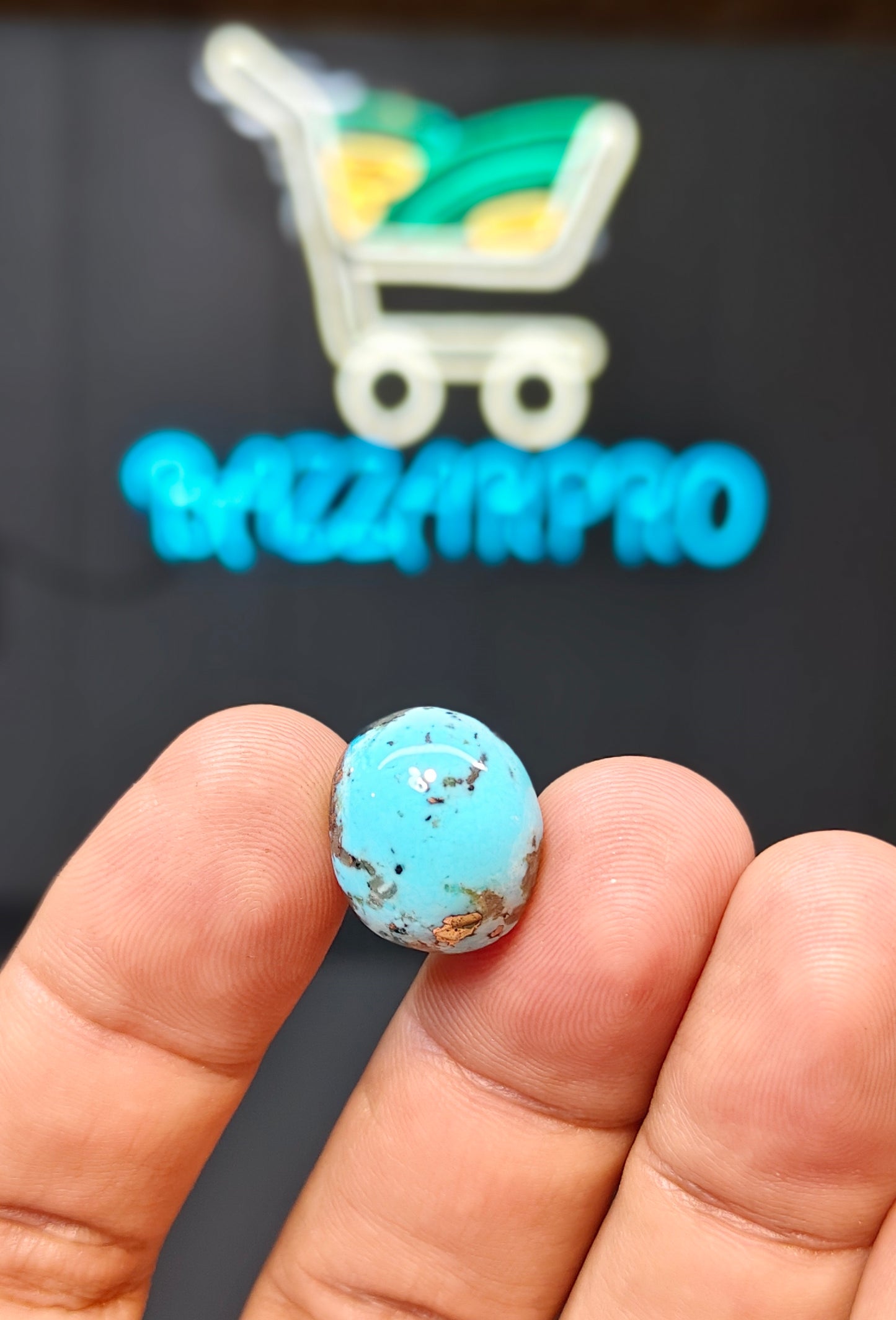 Nisha Puri Feroza (Sona Patti)