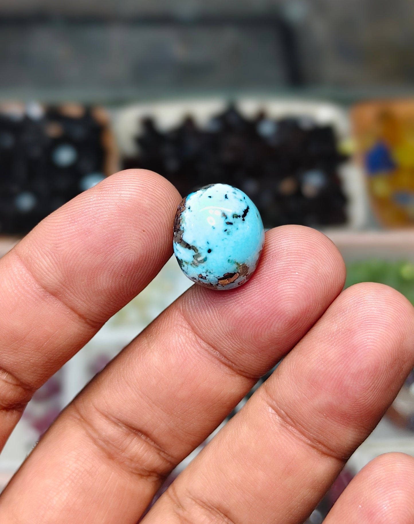 Nisha Puri Feroza (Sona Patti)