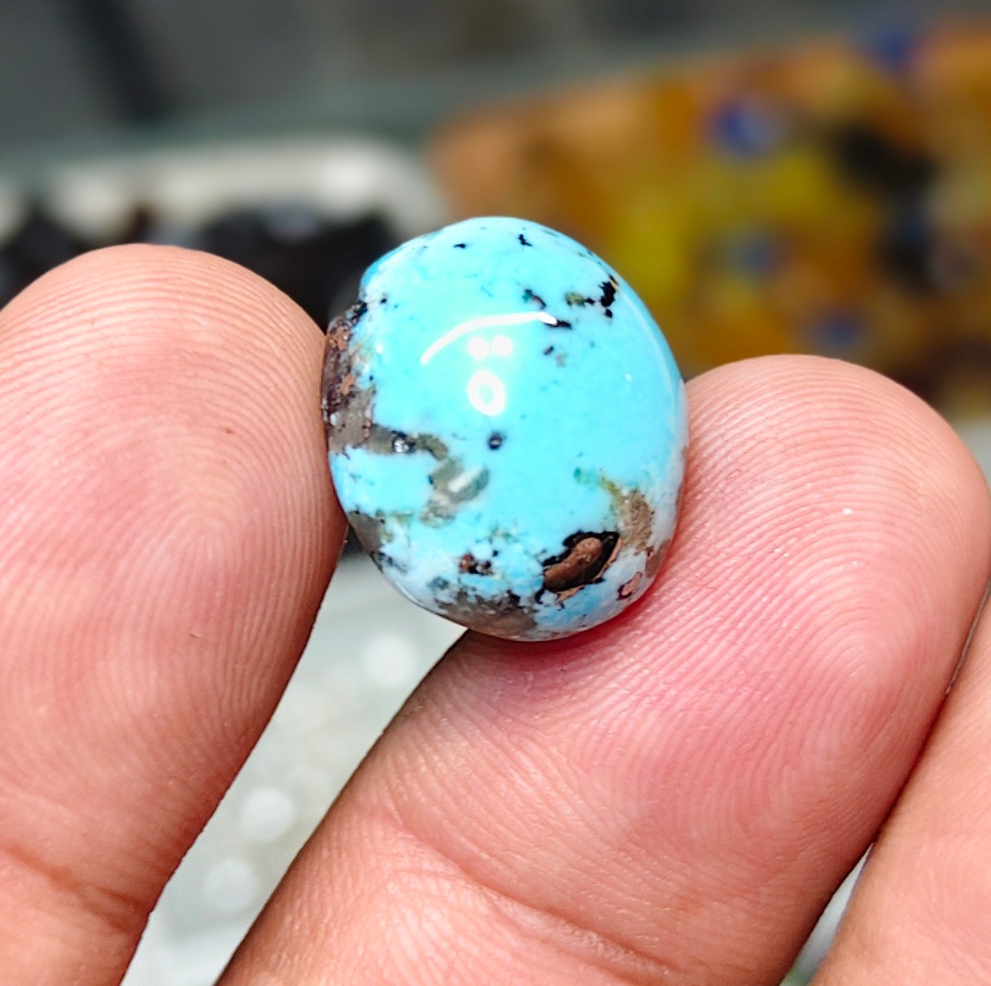 Nisha Puri Feroza (Sona Patti)