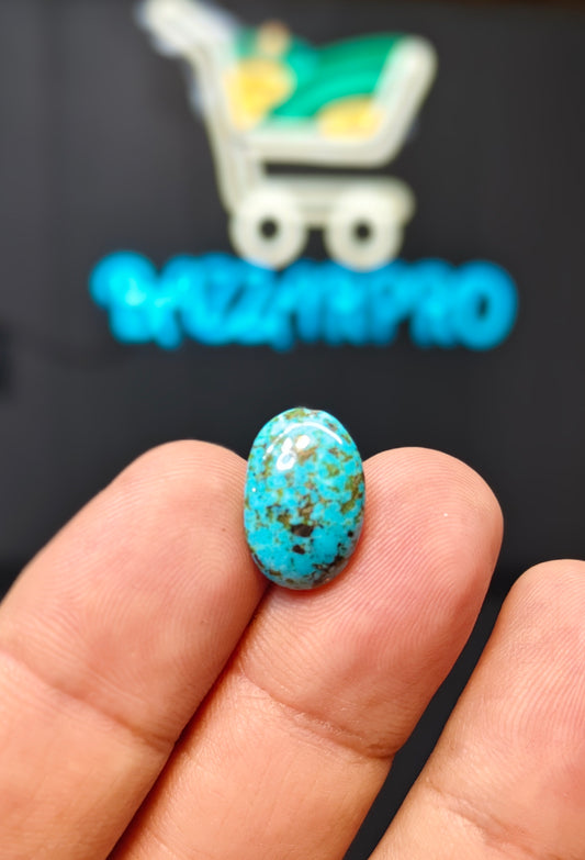 Nisha Puri Feroza (Sona Patti)