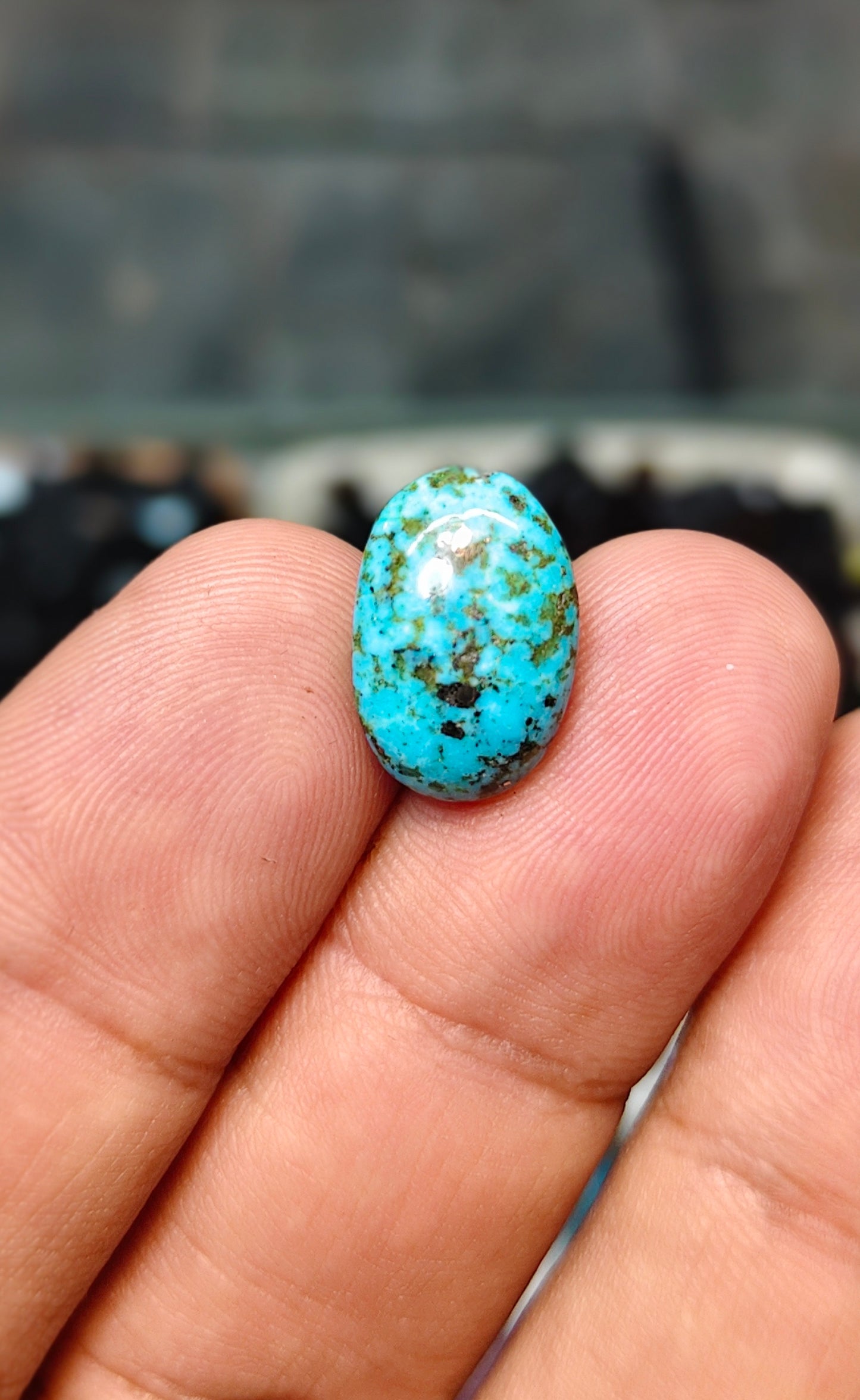 Nisha Puri Feroza (Sona Patti)