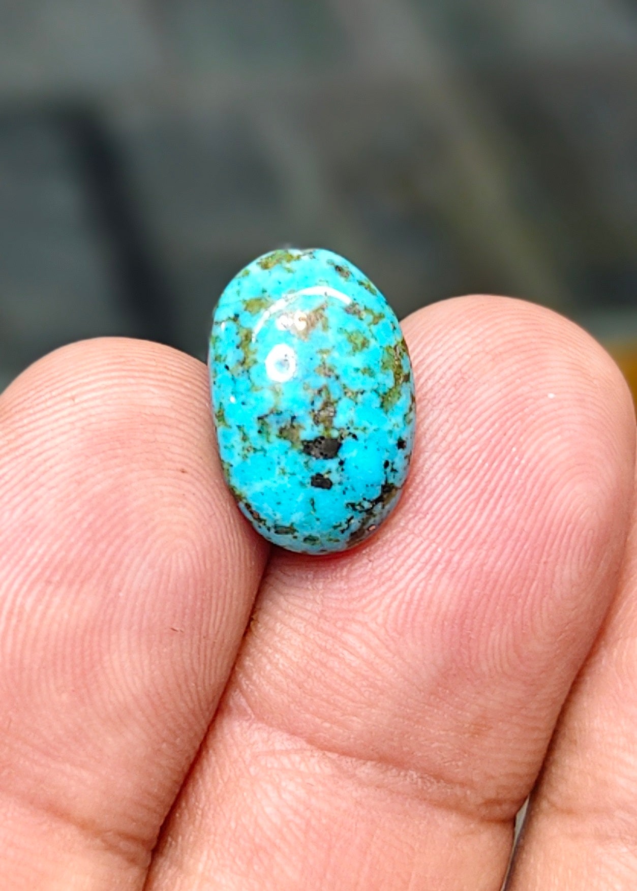 Nisha Puri Feroza (Sona Patti)