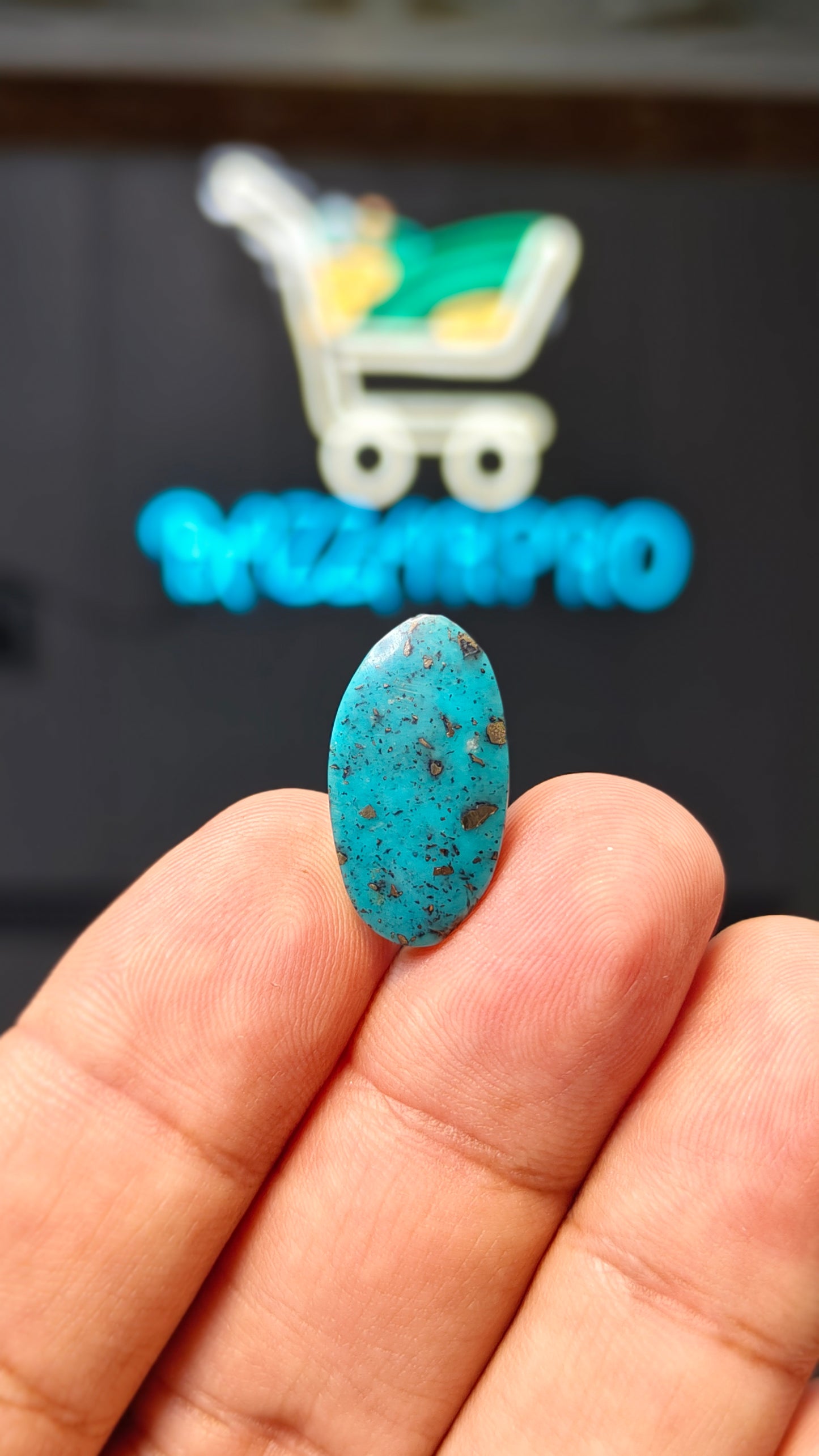 Nisha Puri Feroza (Sona Patti)