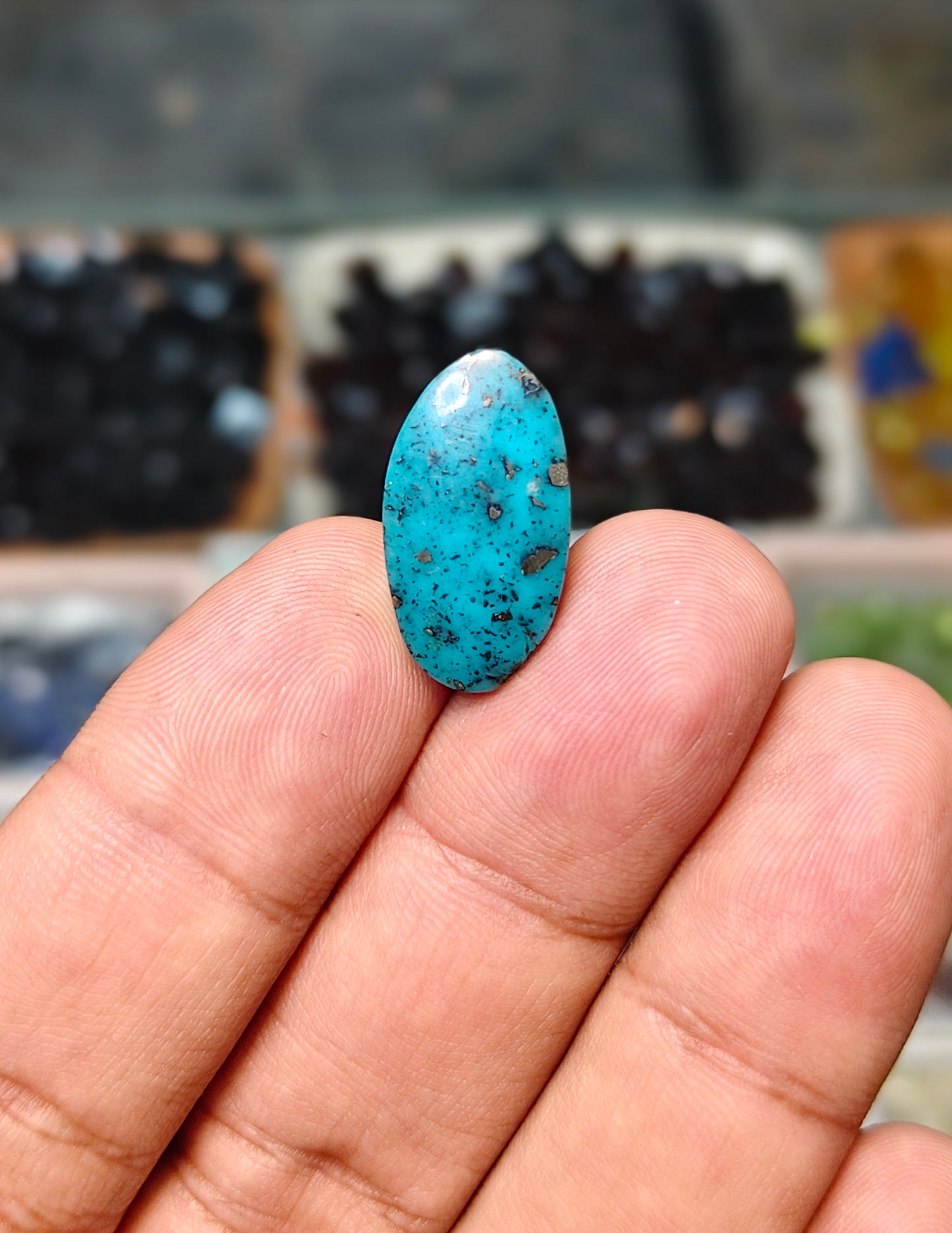 Nisha Puri Feroza (Sona Patti)