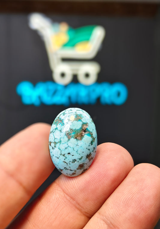 Nisha Puri Feroza (Sona Patti)