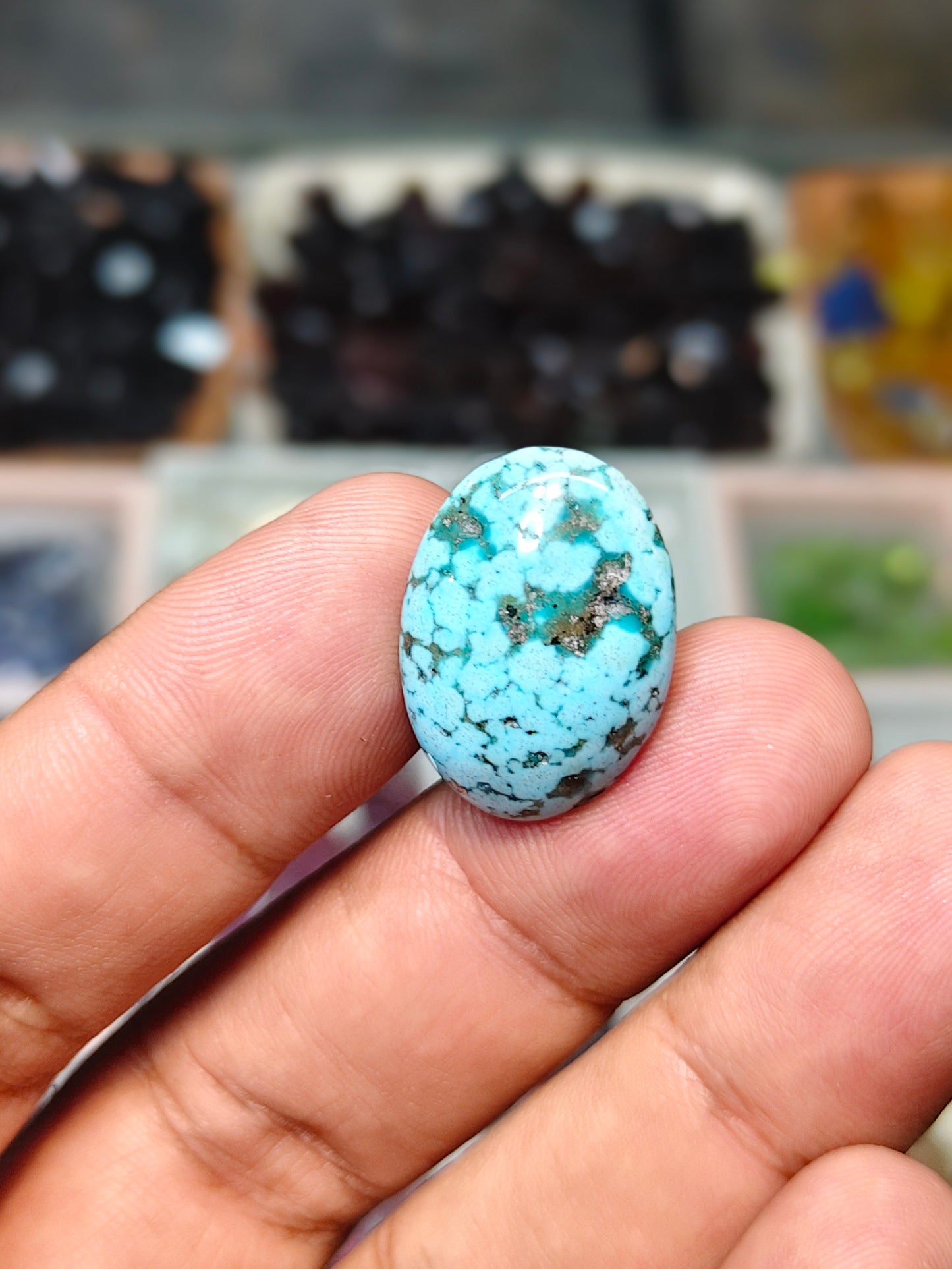 Nisha Puri Feroza (Sona Patti)