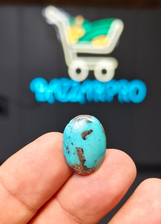 Nisha Puri Feroza (Sona Patti)