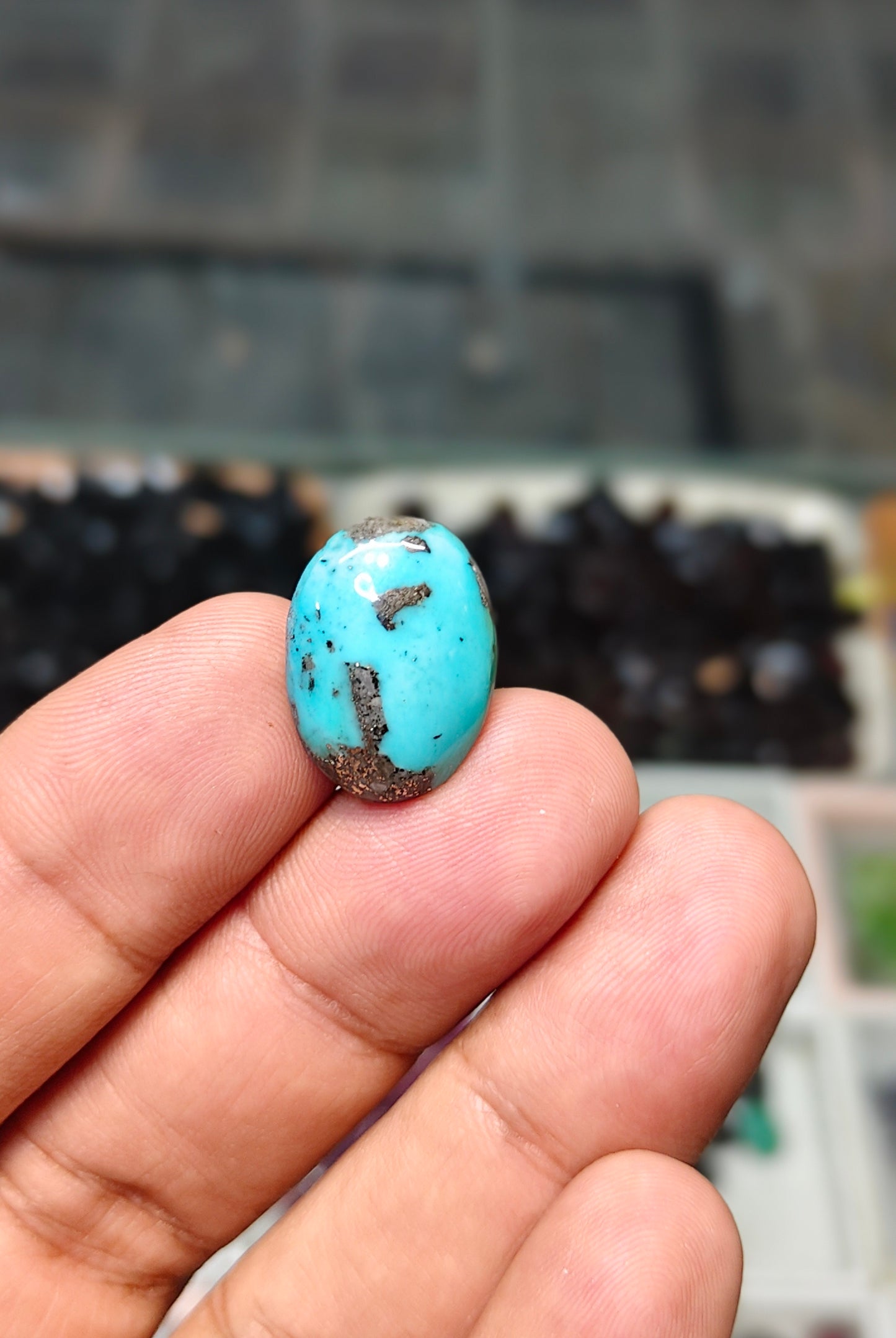 Nisha Puri Feroza (Sona Patti)