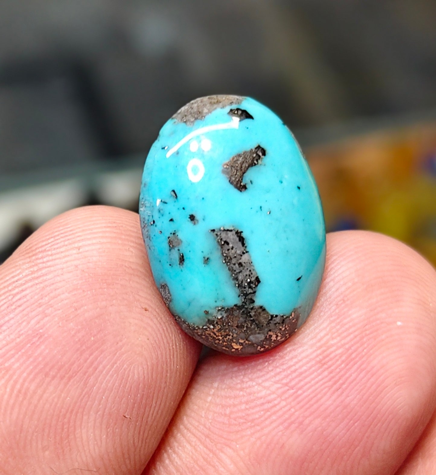 Nisha Puri Feroza (Sona Patti)