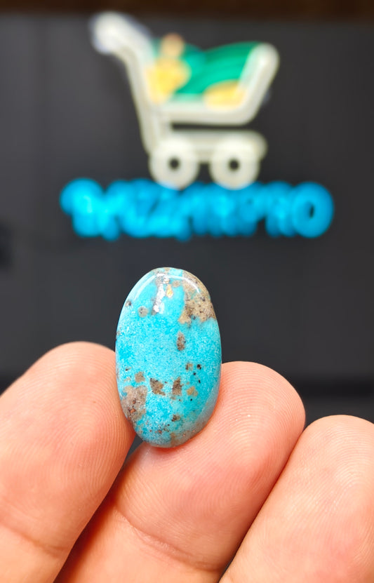 Nisha Puri Feroza (Sona Patti)