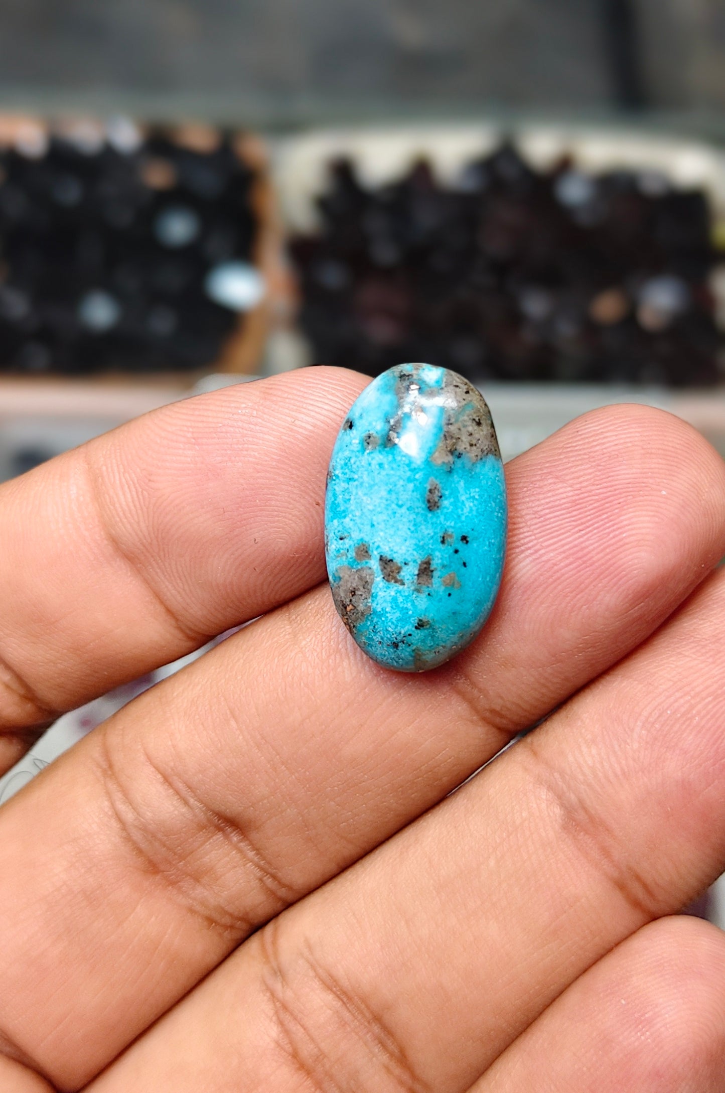 Nisha Puri Feroza (Sona Patti)