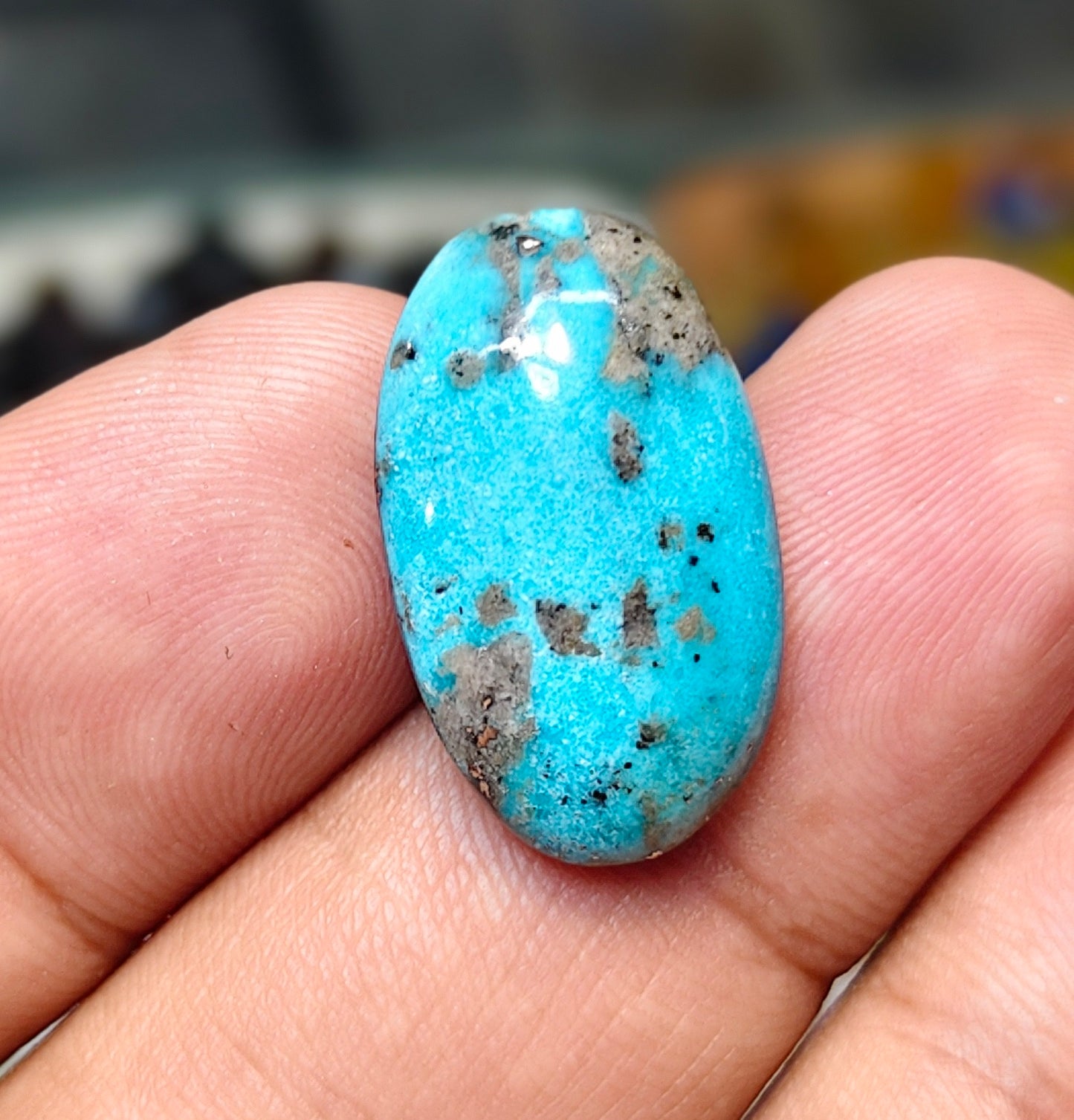 Nisha Puri Feroza (Sona Patti)