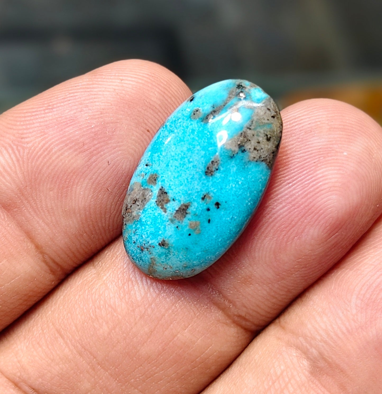 Nisha Puri Feroza (Sona Patti)