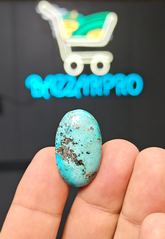 Nisha Puri Feroza (Sona Patti)