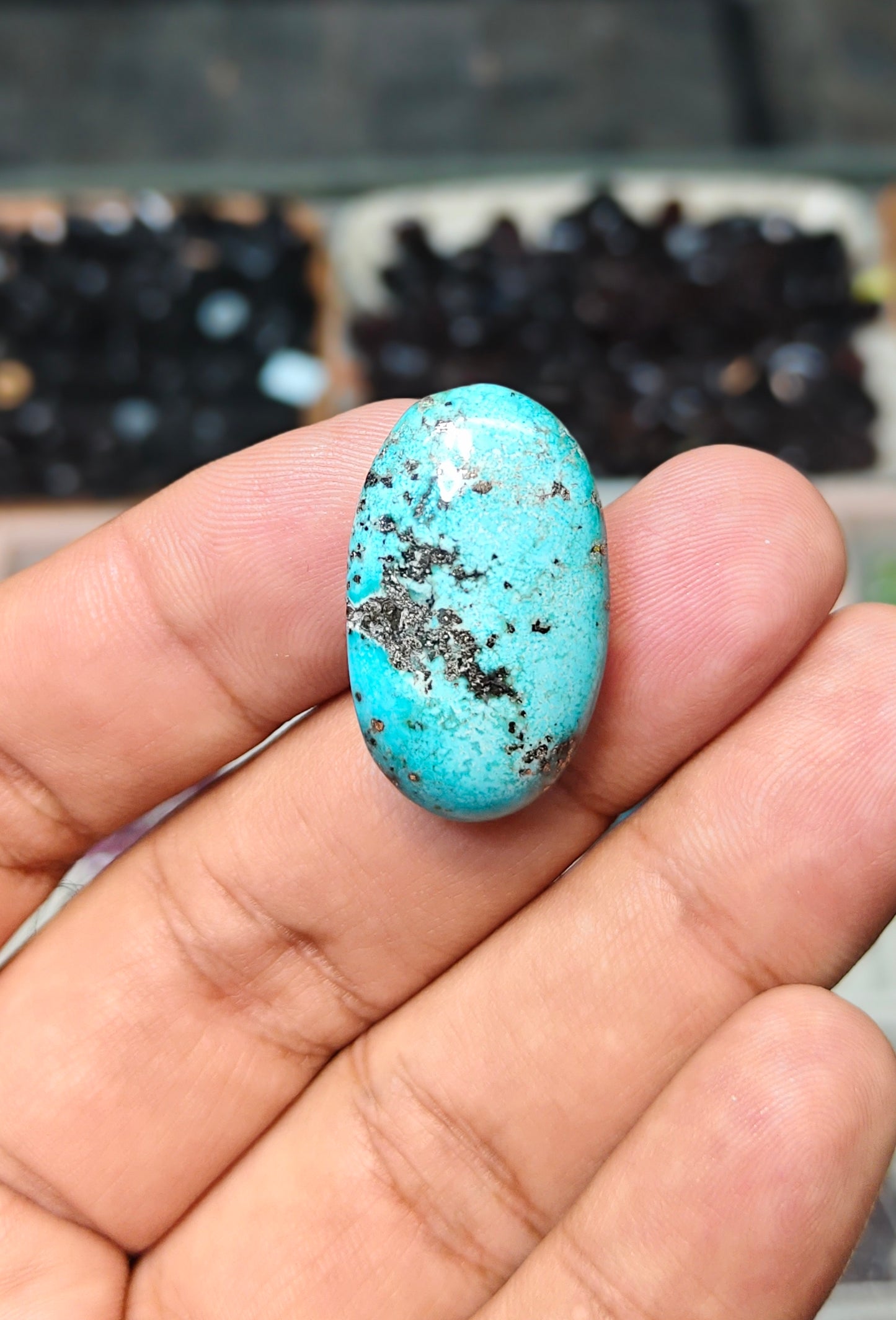 Nisha Puri Feroza (Sona Patti)