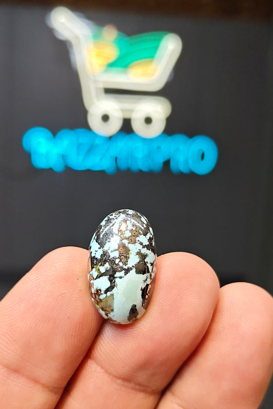 Nisha Puri Feroza (Sona Patti)