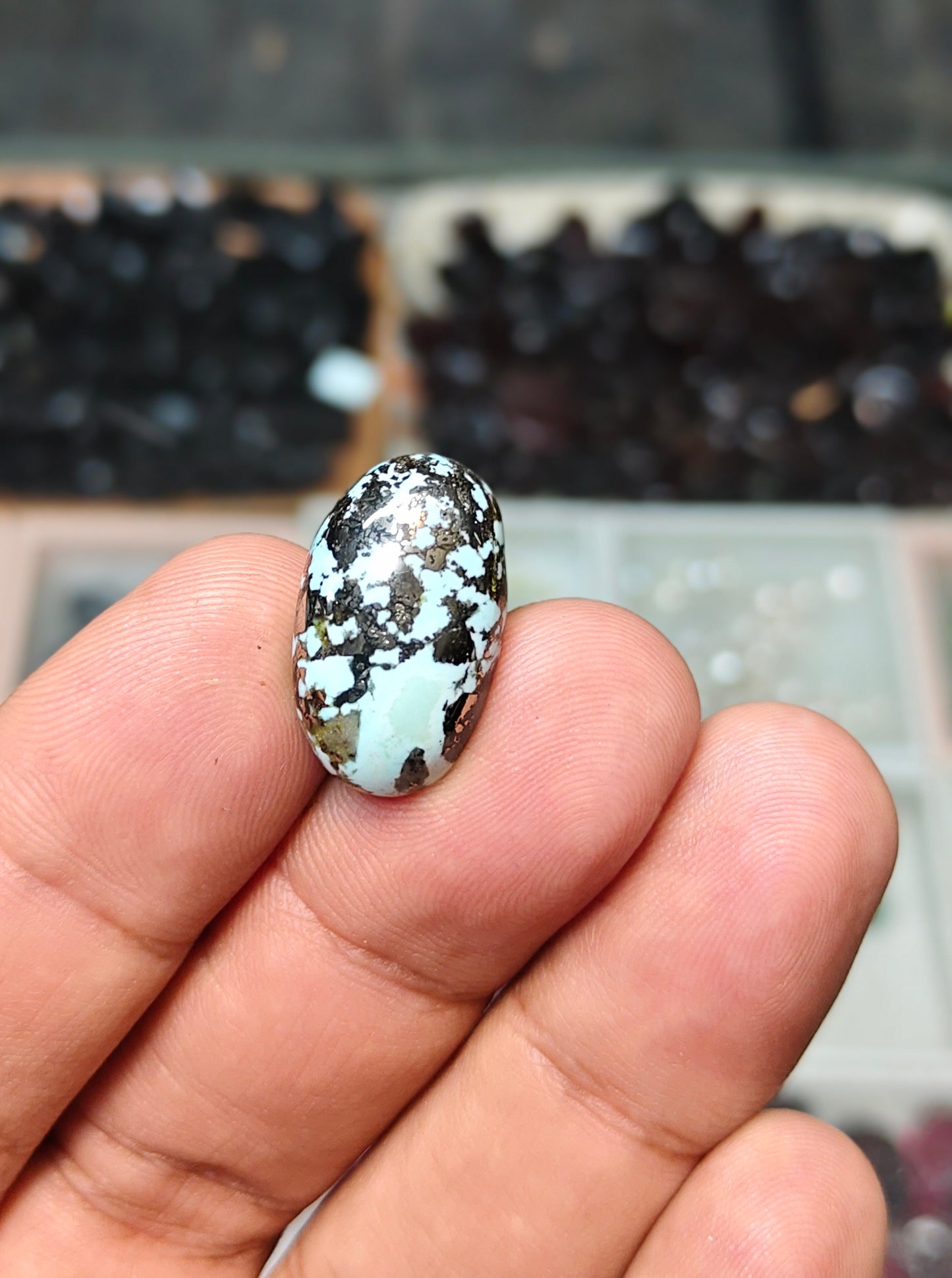 Nisha Puri Feroza (Sona Patti)