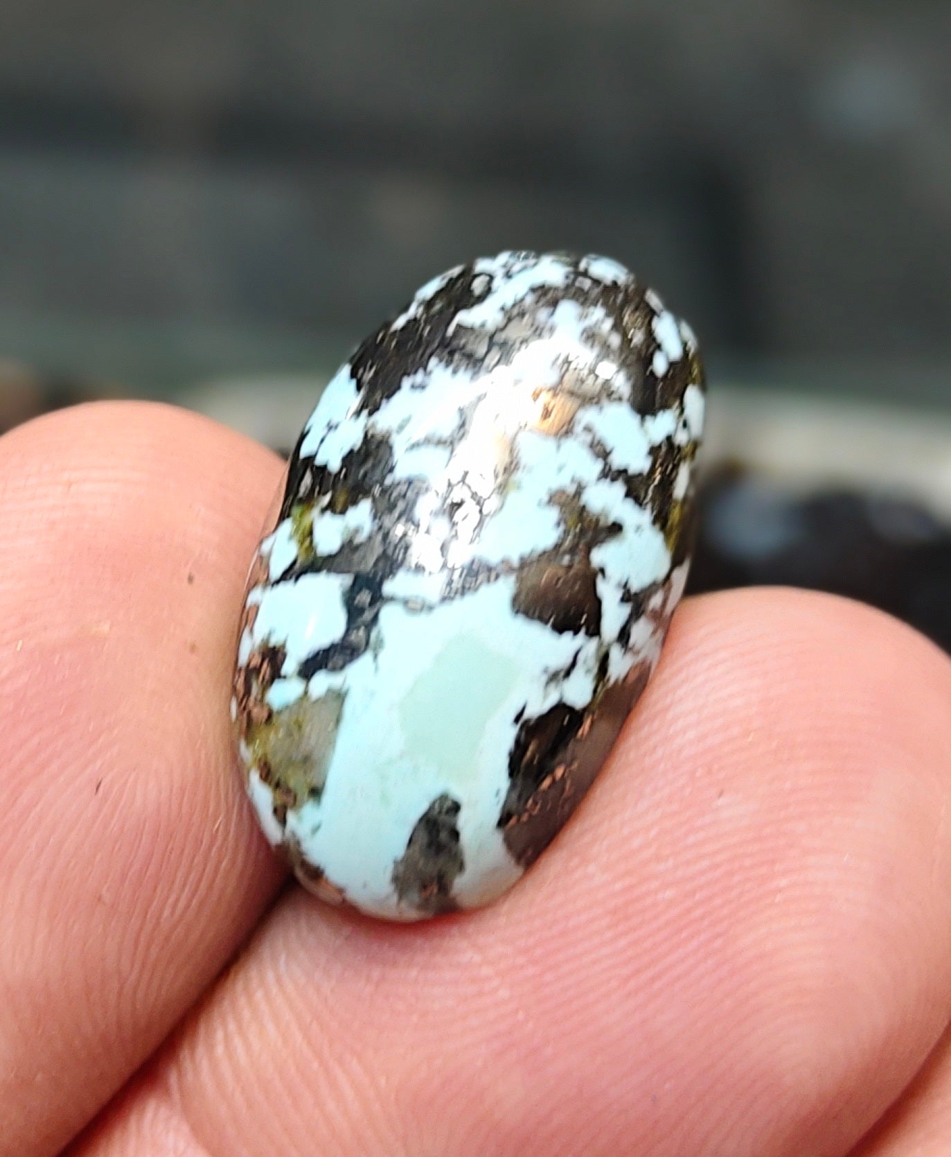 Nisha Puri Feroza (Sona Patti)