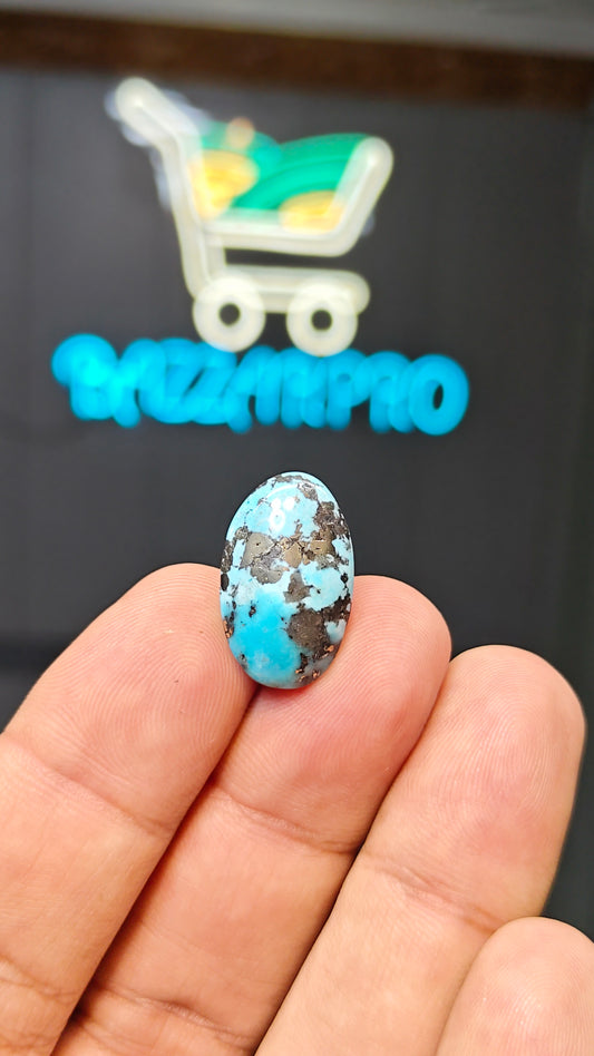 Nisha Puri Feroza (Sona Patti)