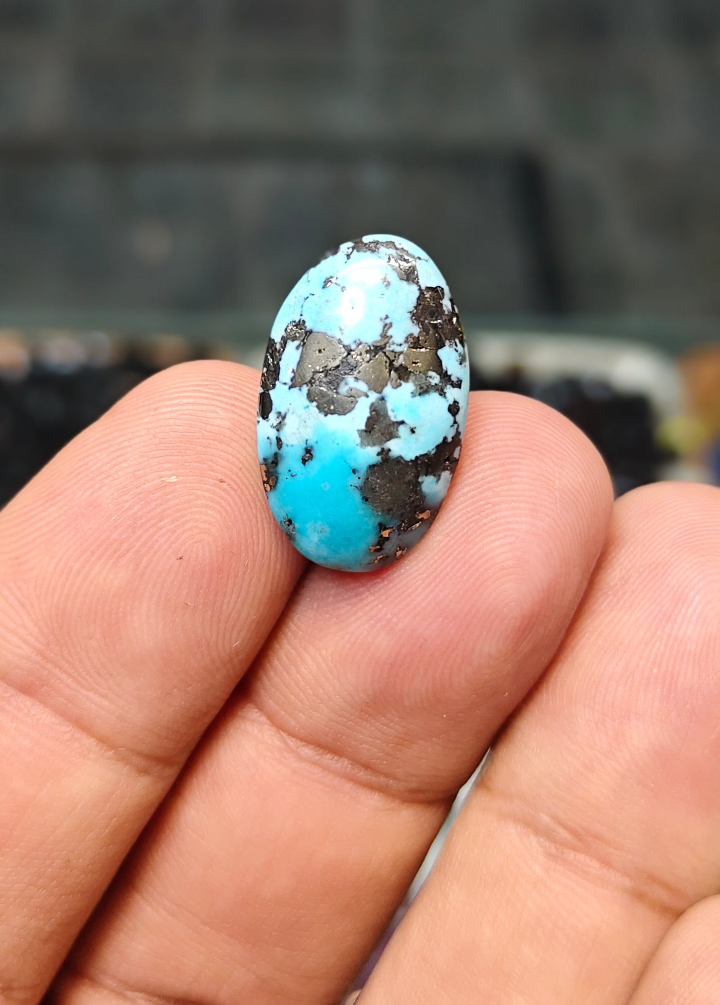 Nisha Puri Feroza (Sona Patti)