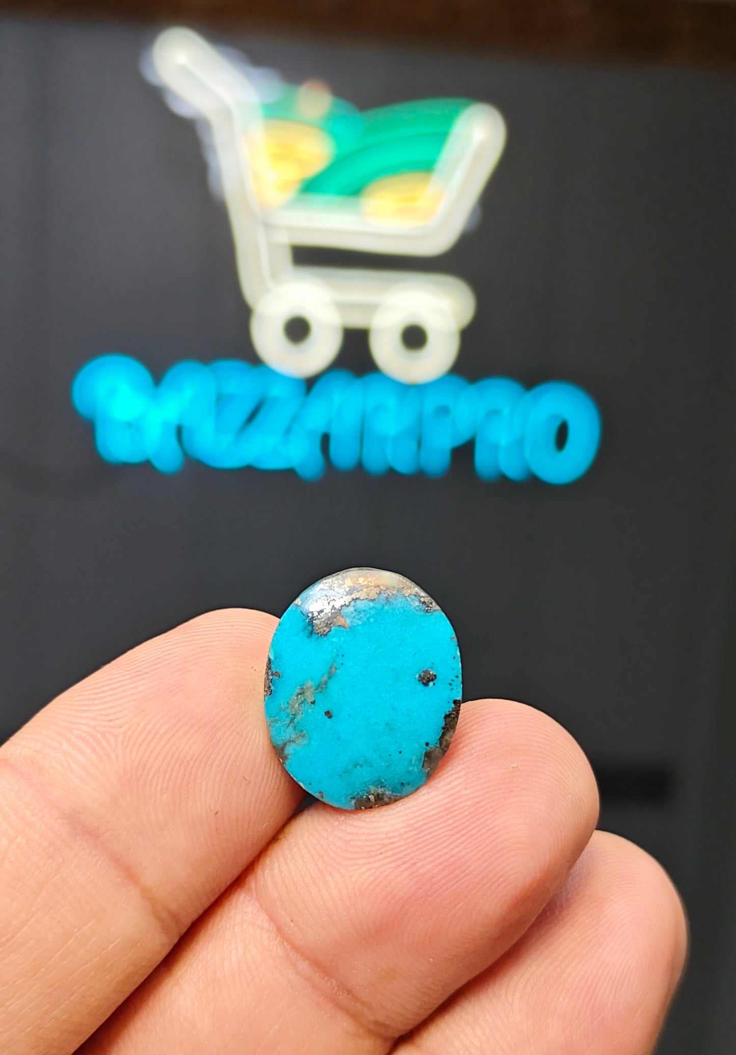 Nisha Puri Feroza (Sona Patti)