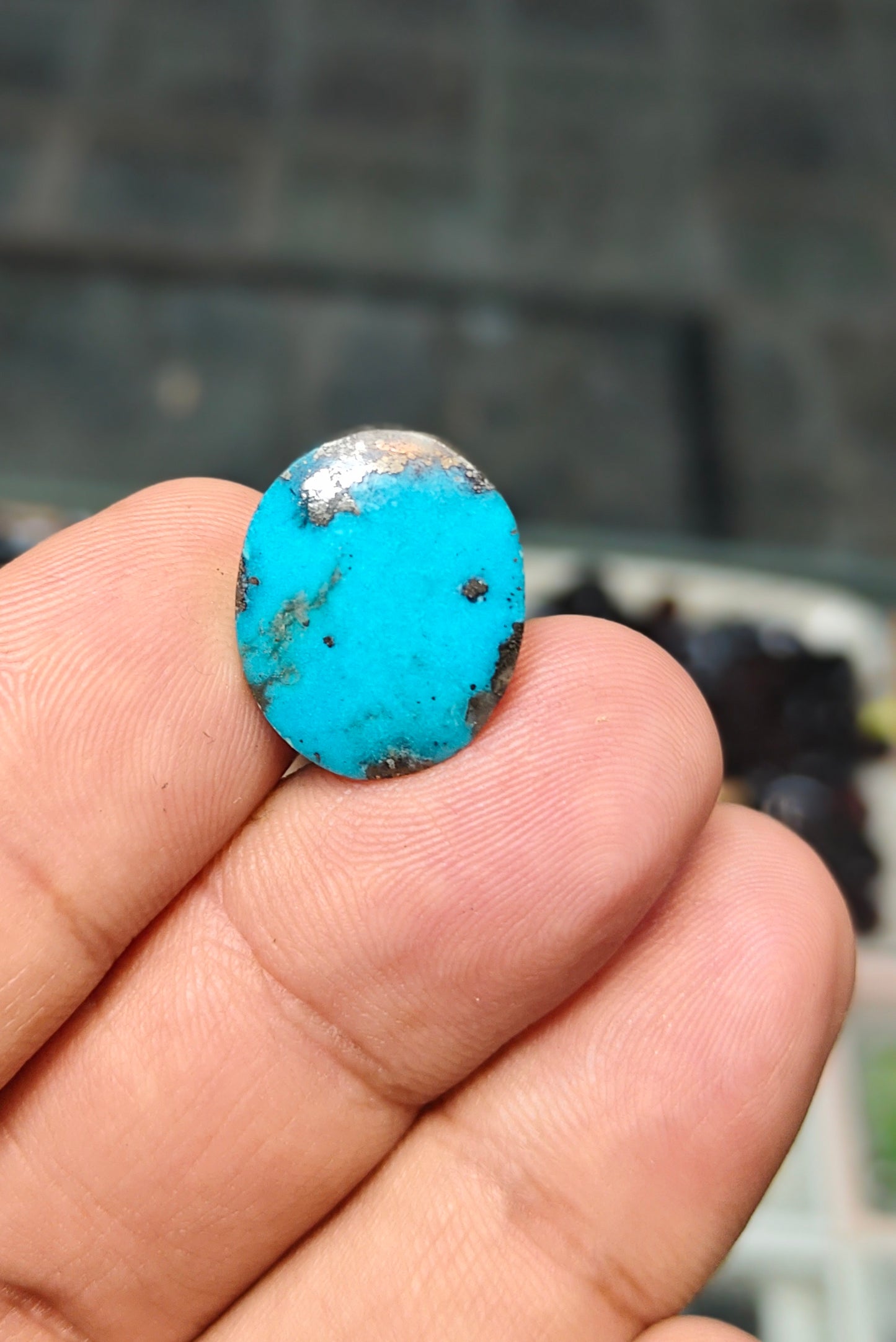 Nisha Puri Feroza (Sona Patti)