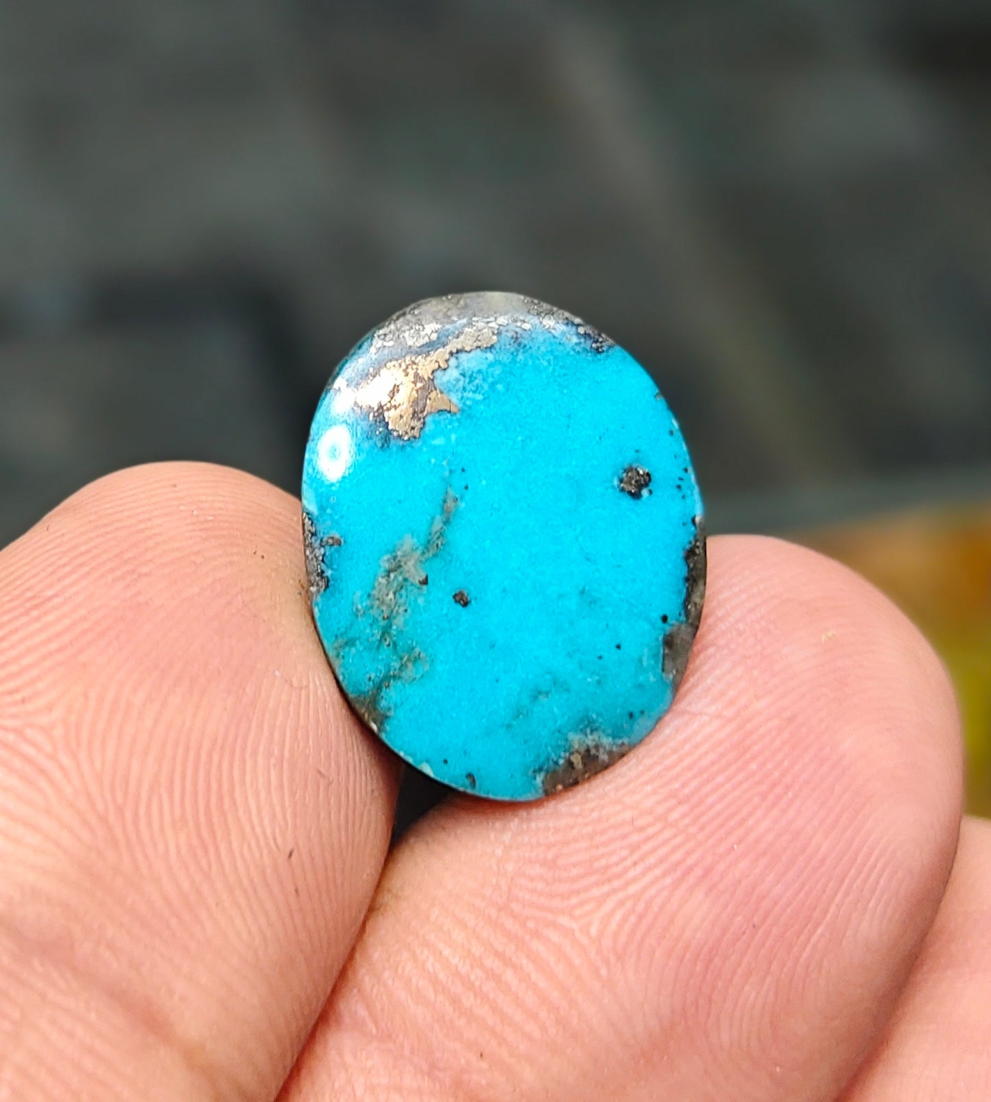 Nisha Puri Feroza (Sona Patti)