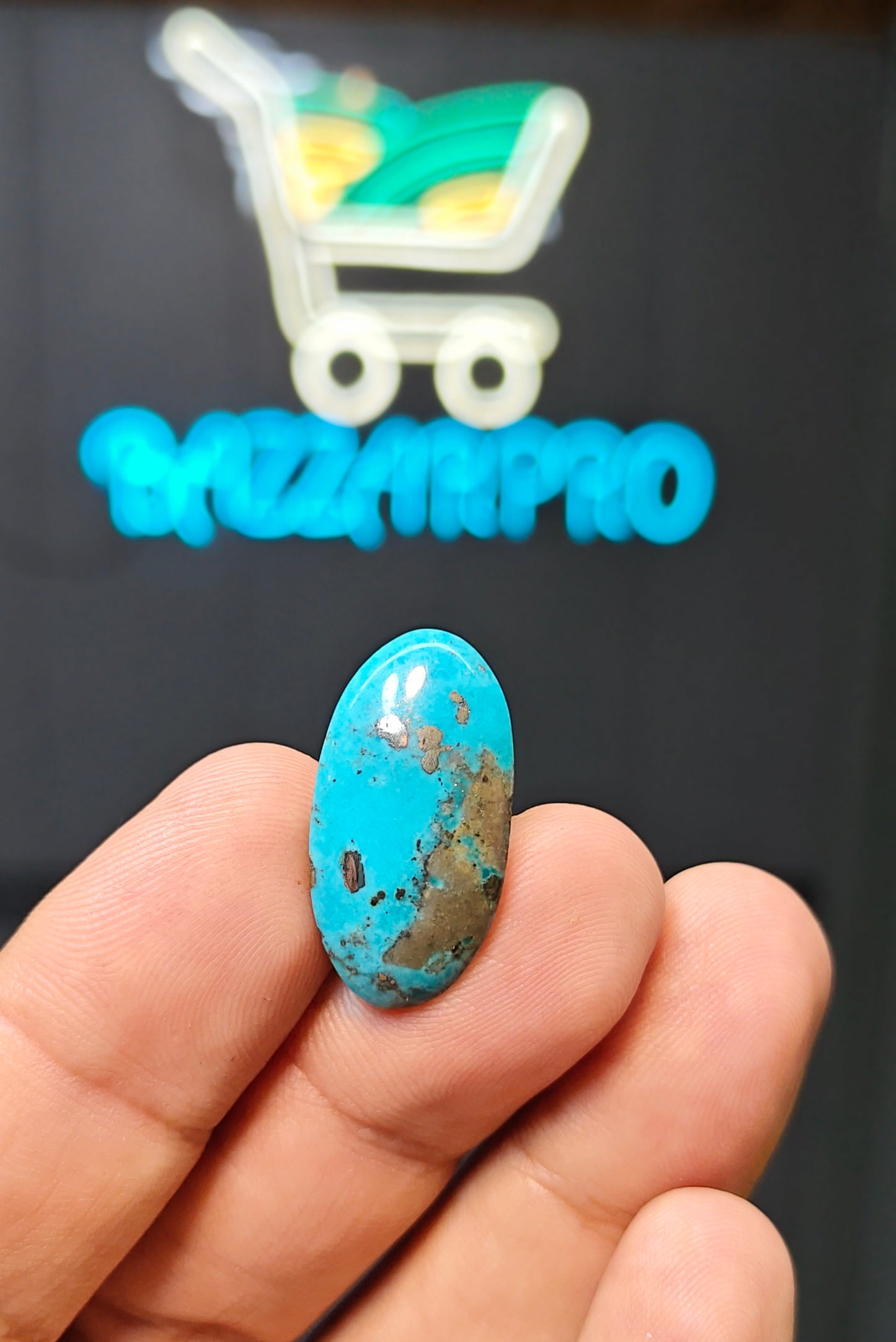 Nisha Puri Feroza (Sona Patti)