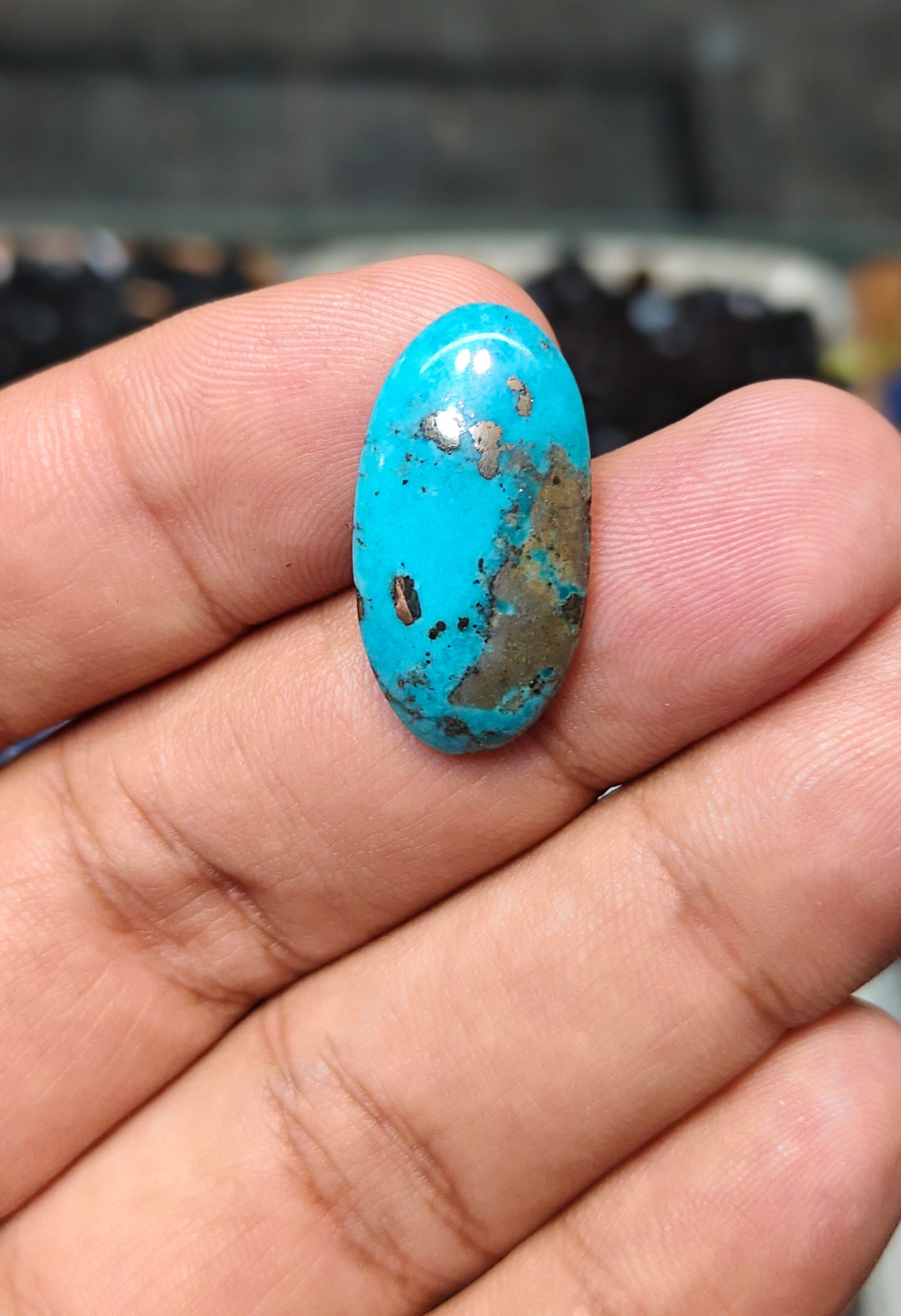 Nisha Puri Feroza (Sona Patti)