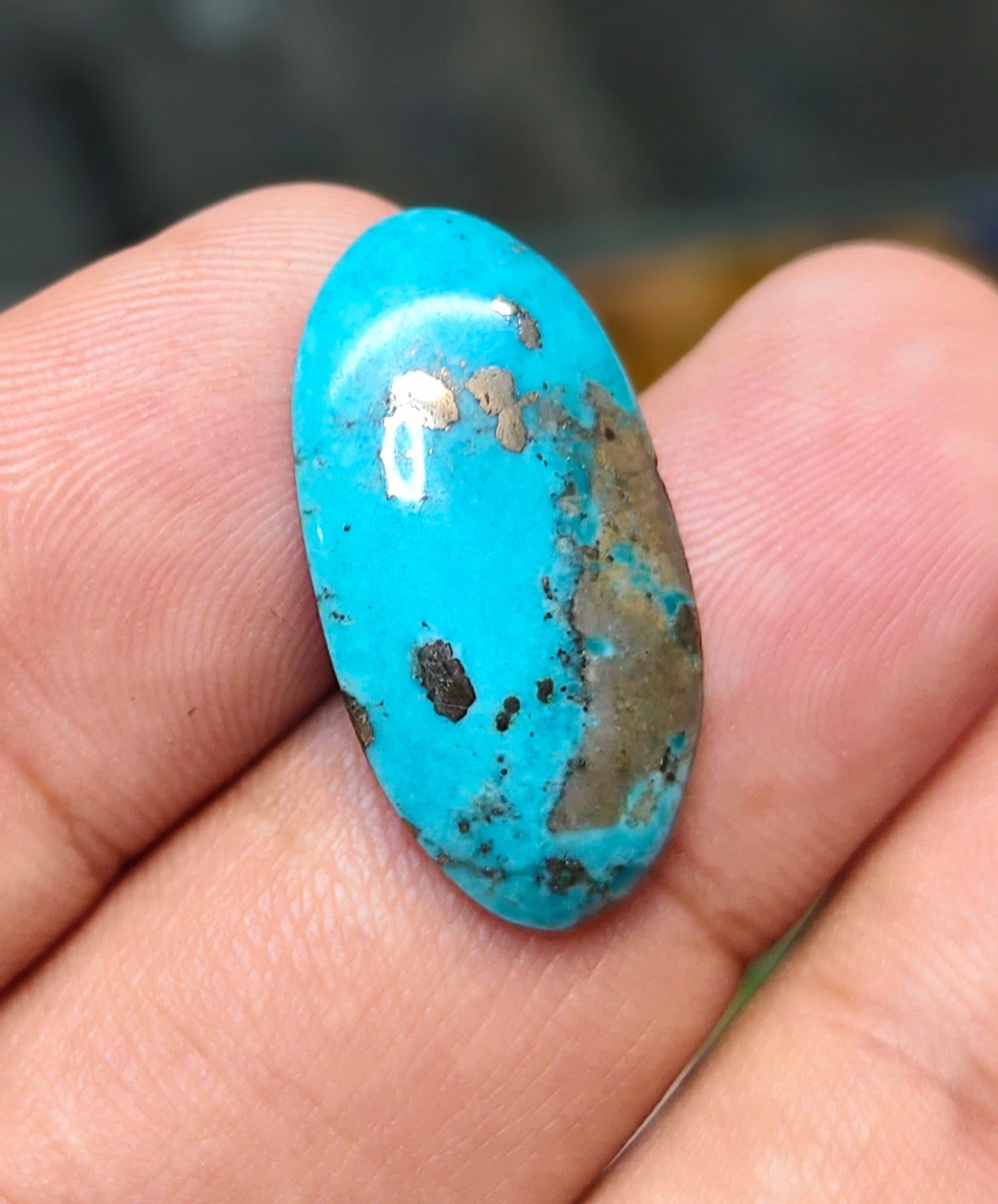 Nisha Puri Feroza (Sona Patti)