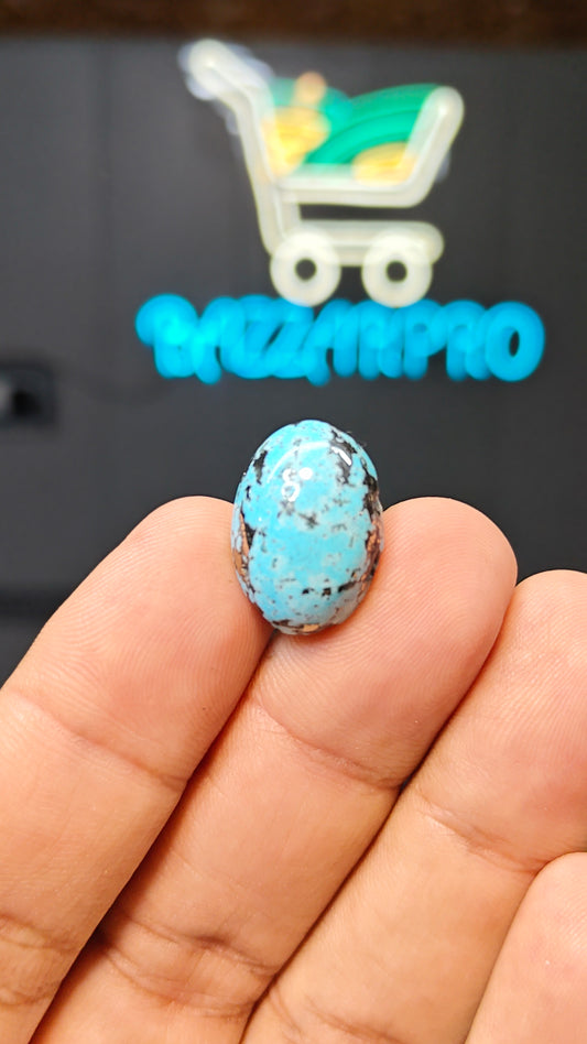 Nisha Puri Feroza (Sona Patti)