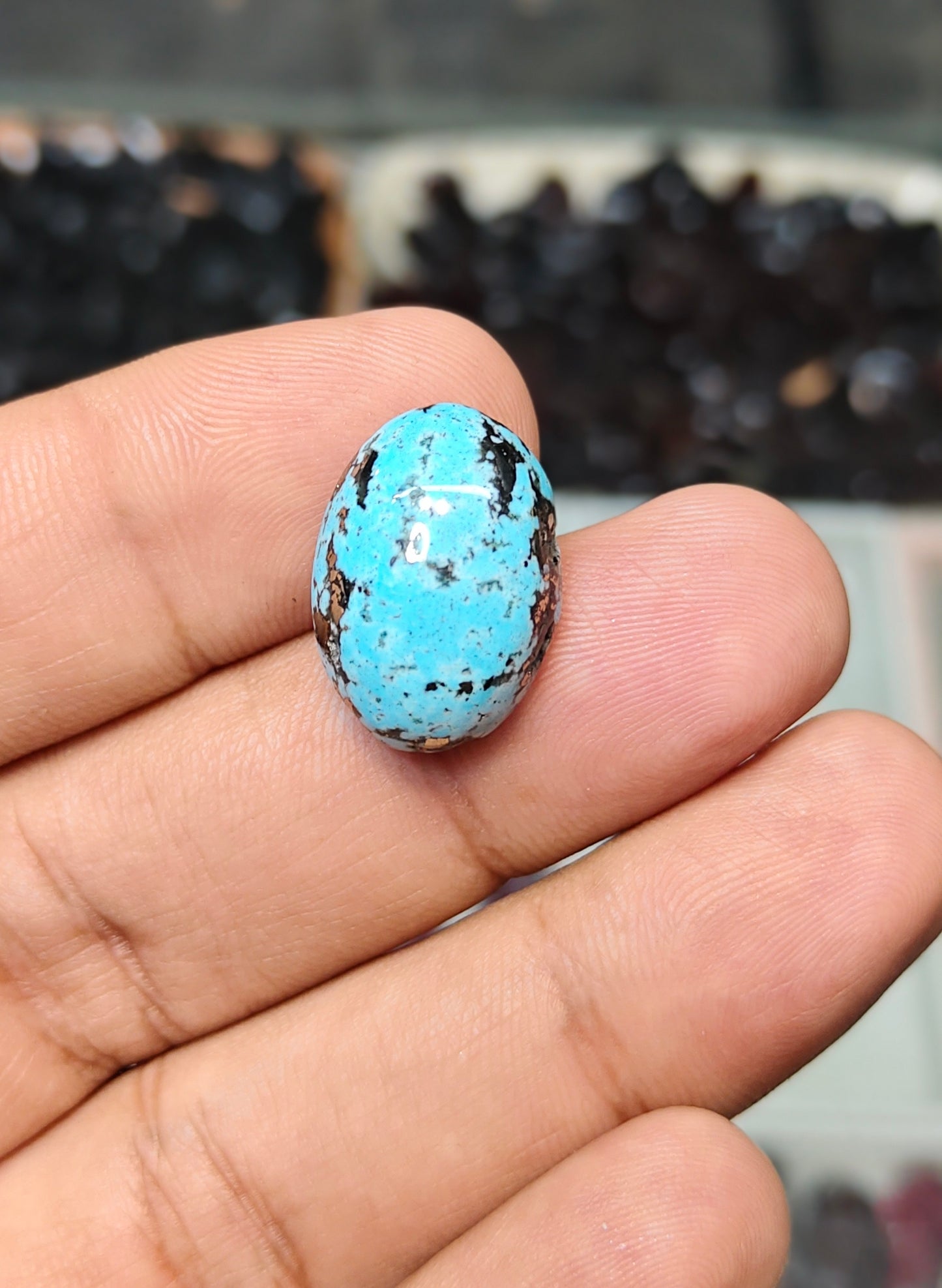 Nisha Puri Feroza (Sona Patti)