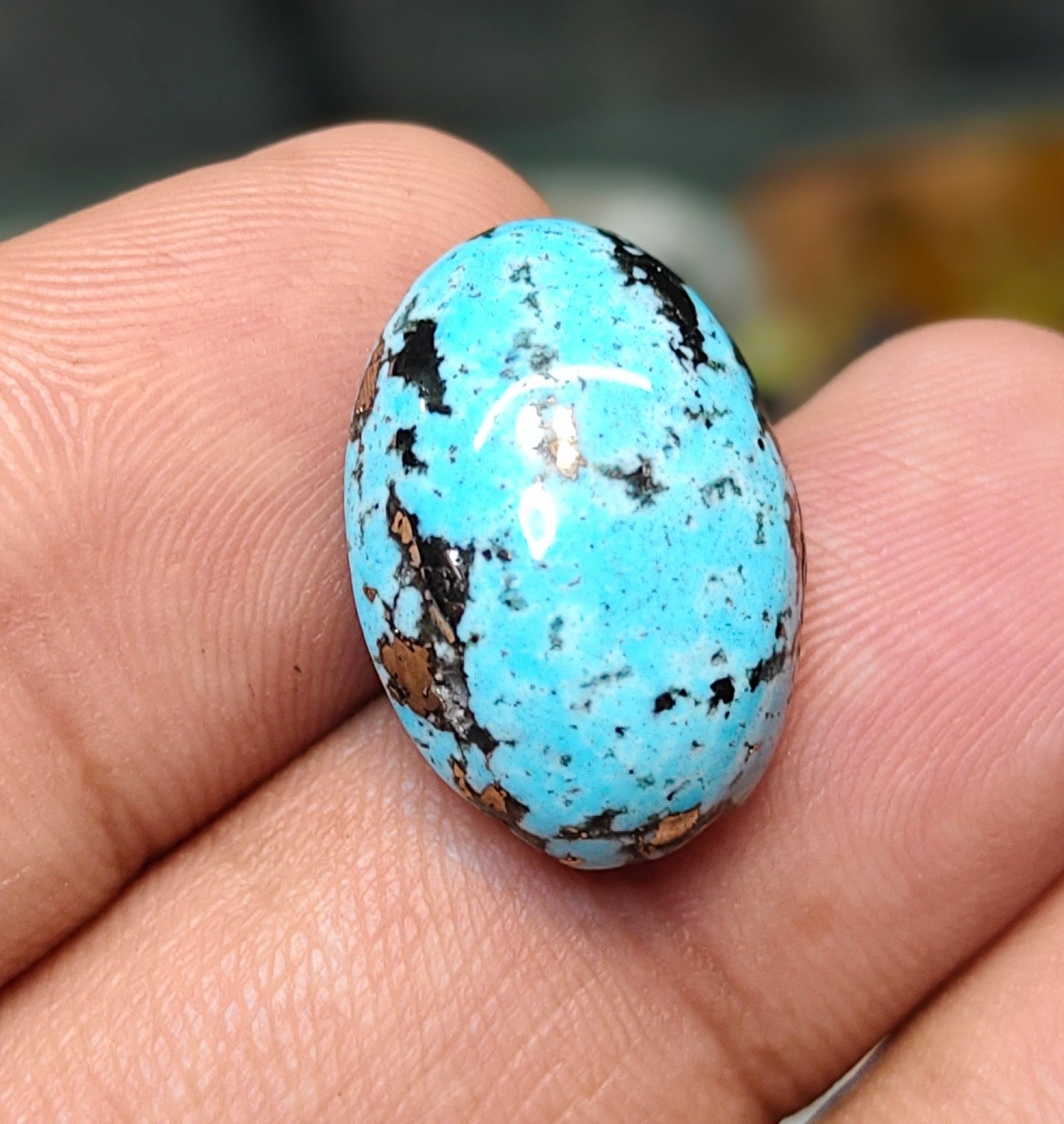 Nisha Puri Feroza (Sona Patti)