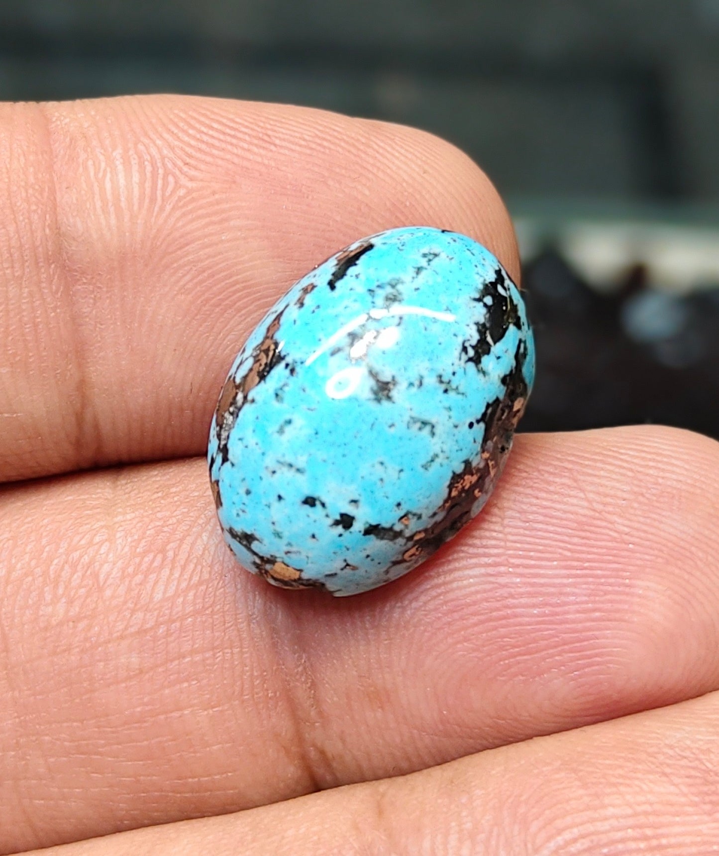 Nisha Puri Feroza (Sona Patti)