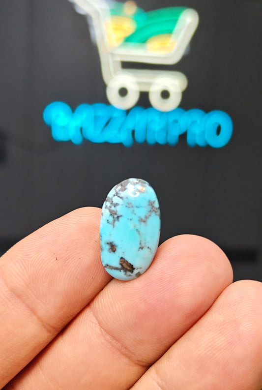 Nisha Puri Feroza (Sona Patti)