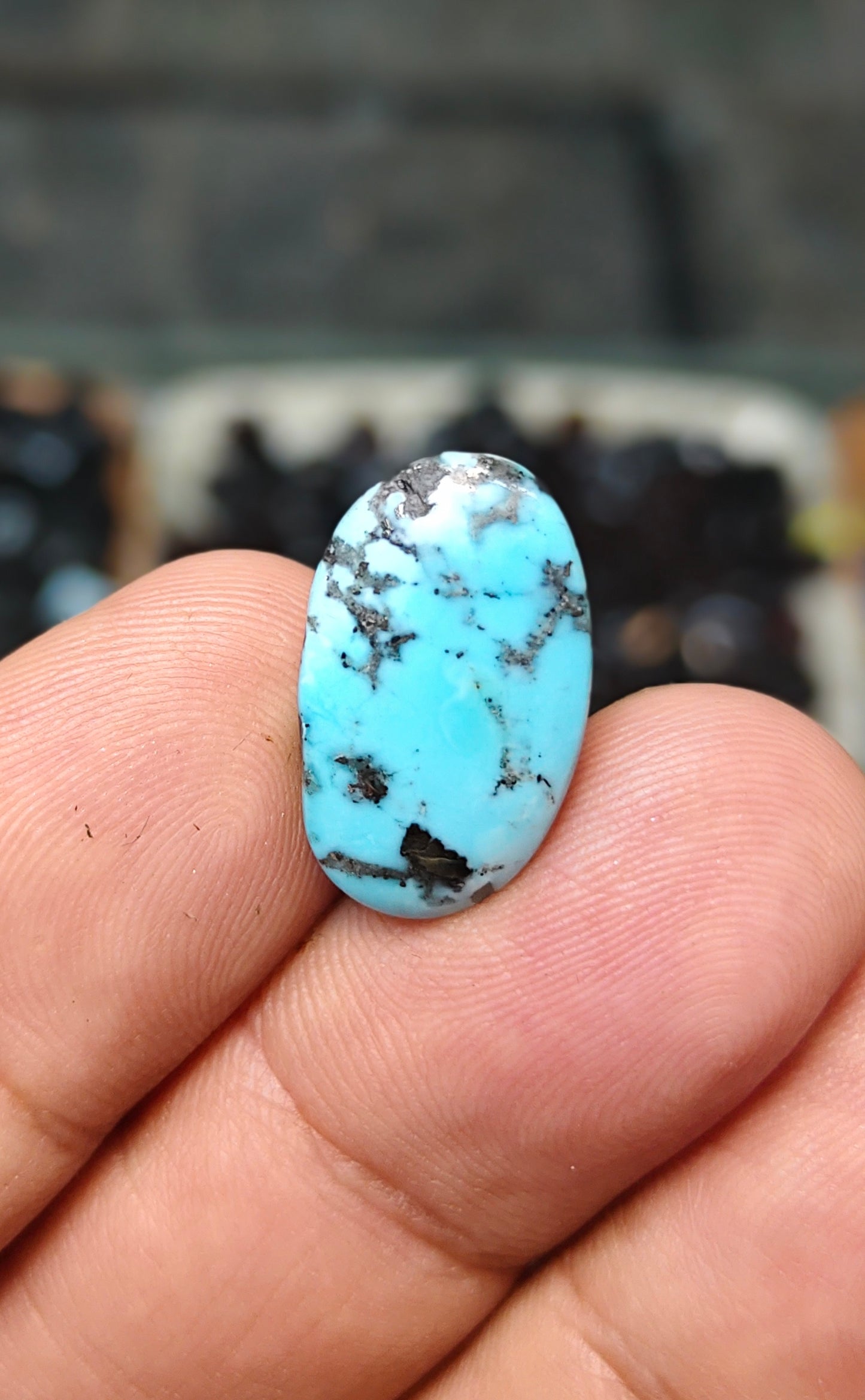 Nisha Puri Feroza (Sona Patti)