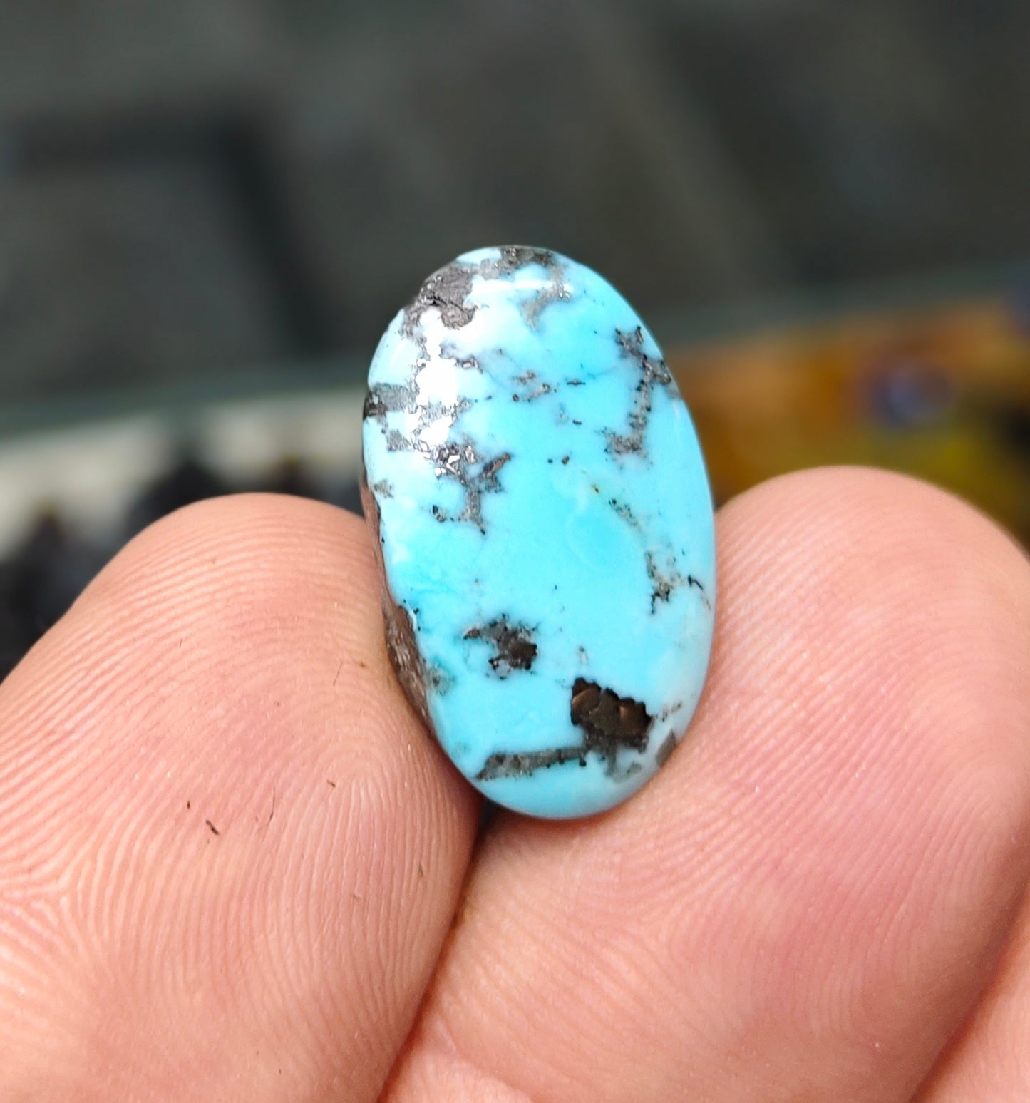 Nisha Puri Feroza (Sona Patti)