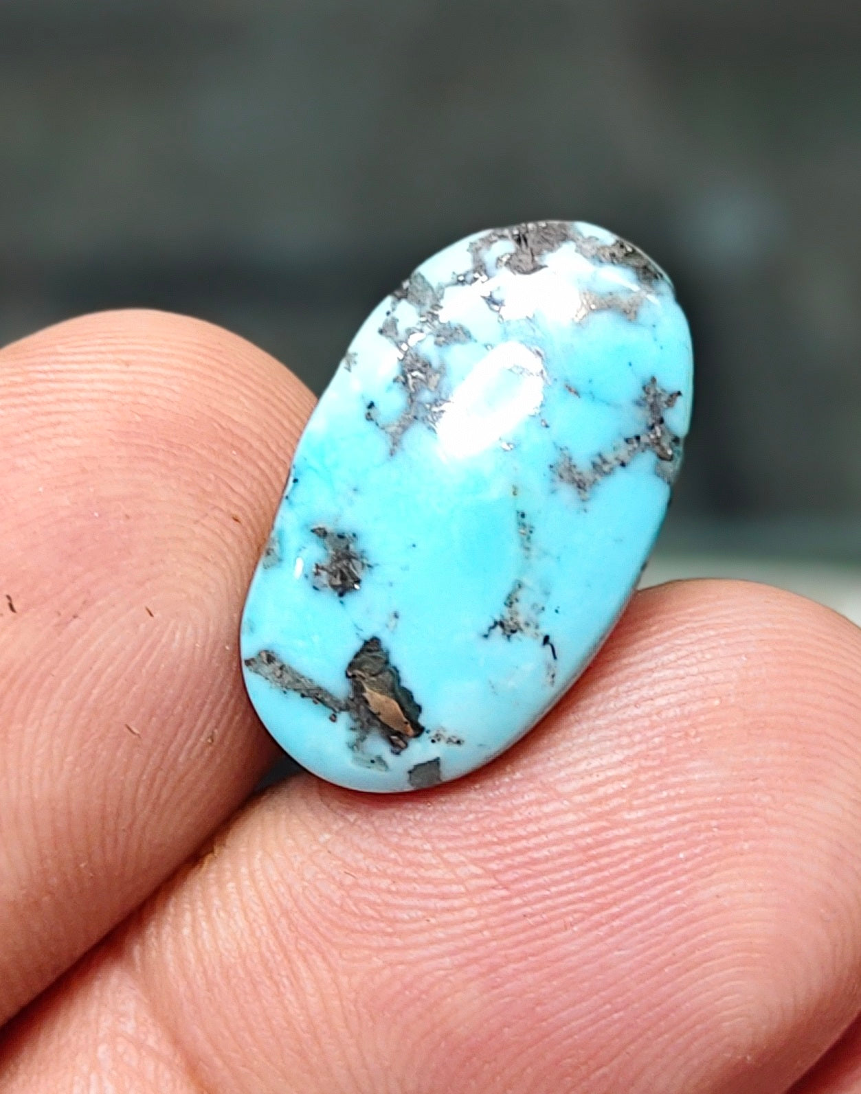 Nisha Puri Feroza (Sona Patti)