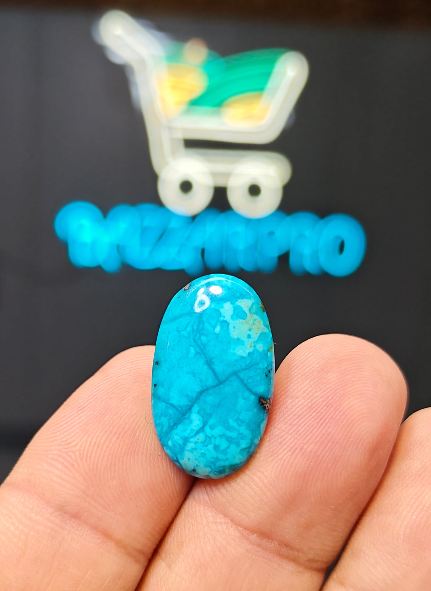 Nisha Puri Feroza (Sona Patti)