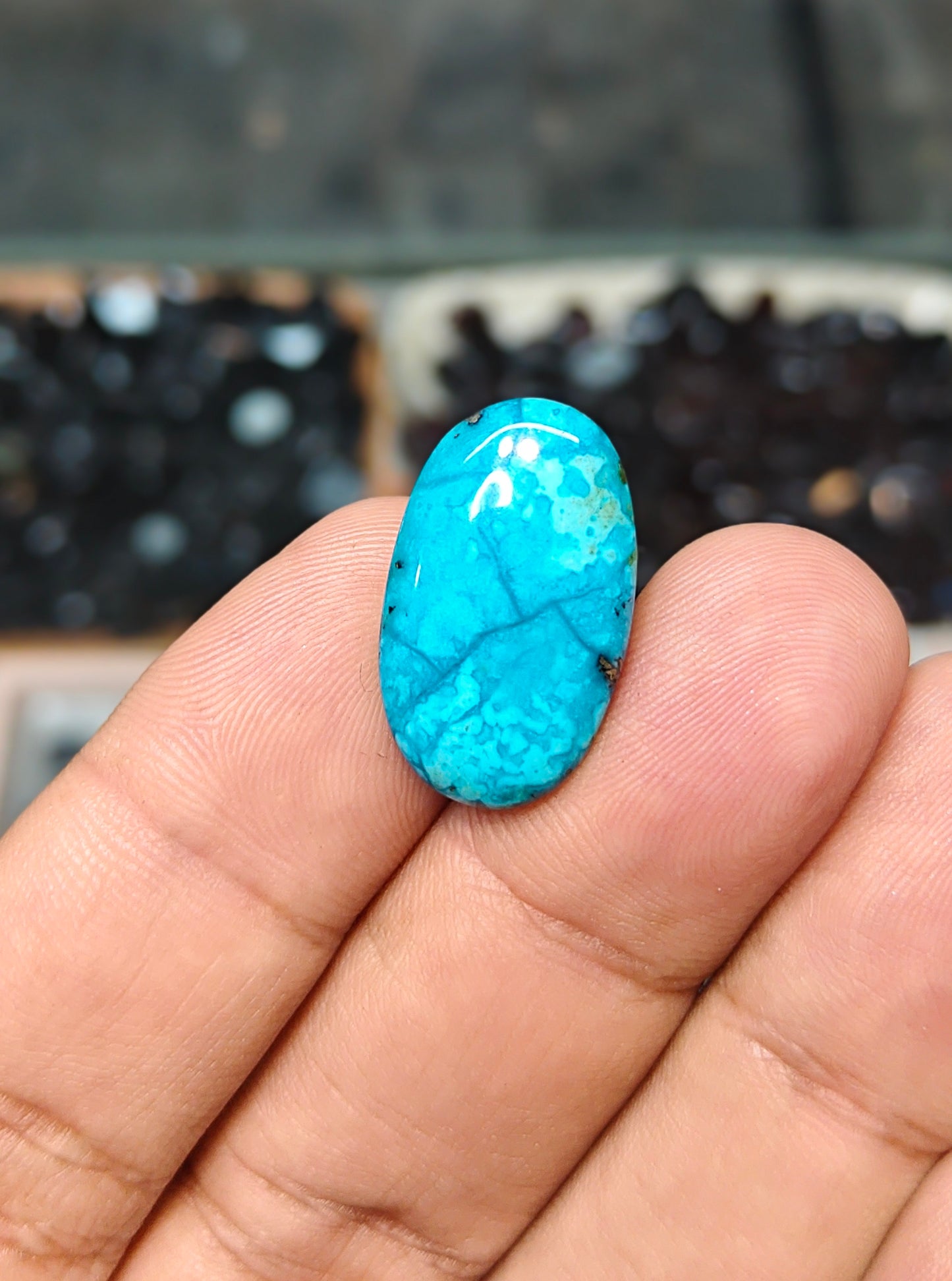 Nisha Puri Feroza (Sona Patti)