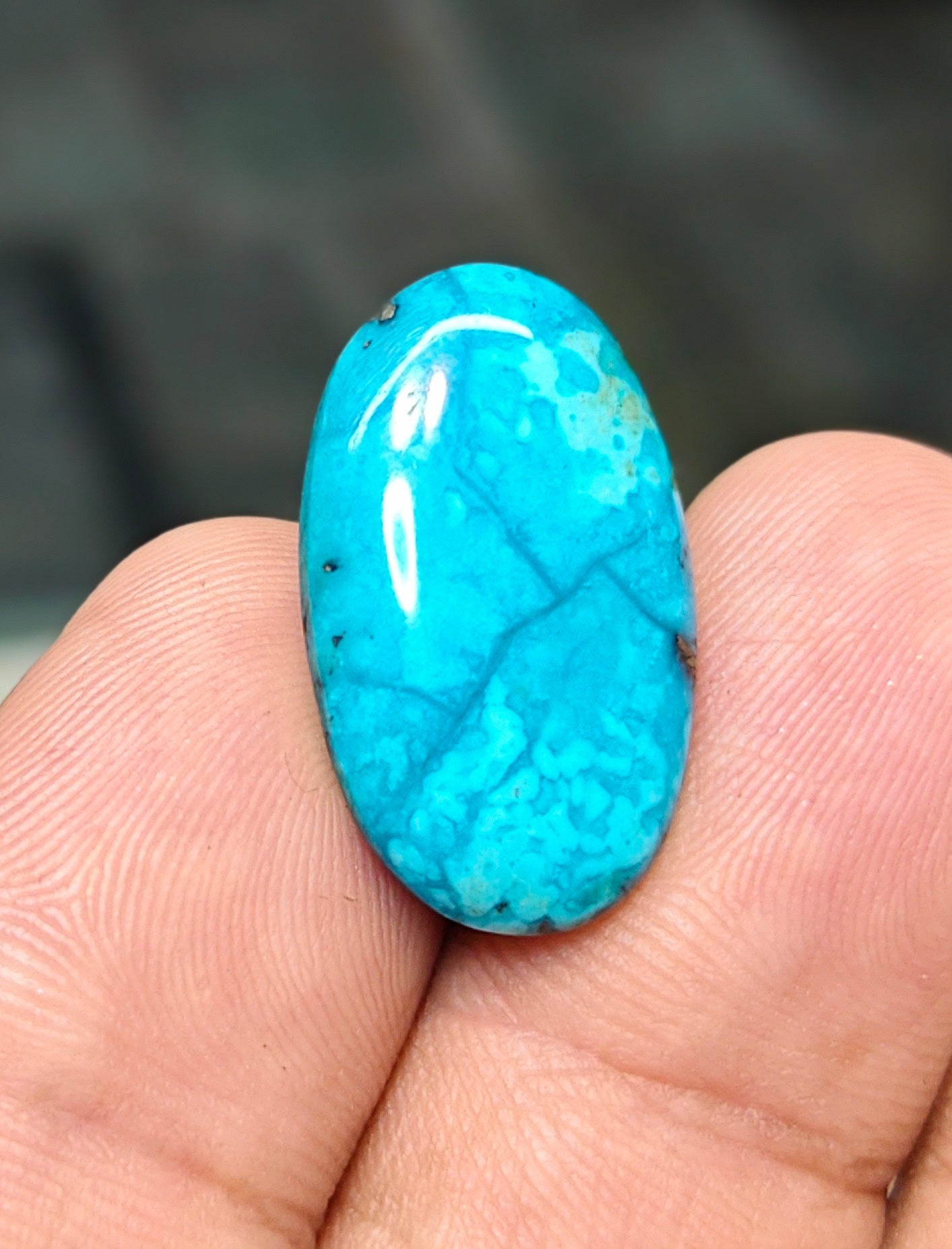 Nisha Puri Feroza (Sona Patti)