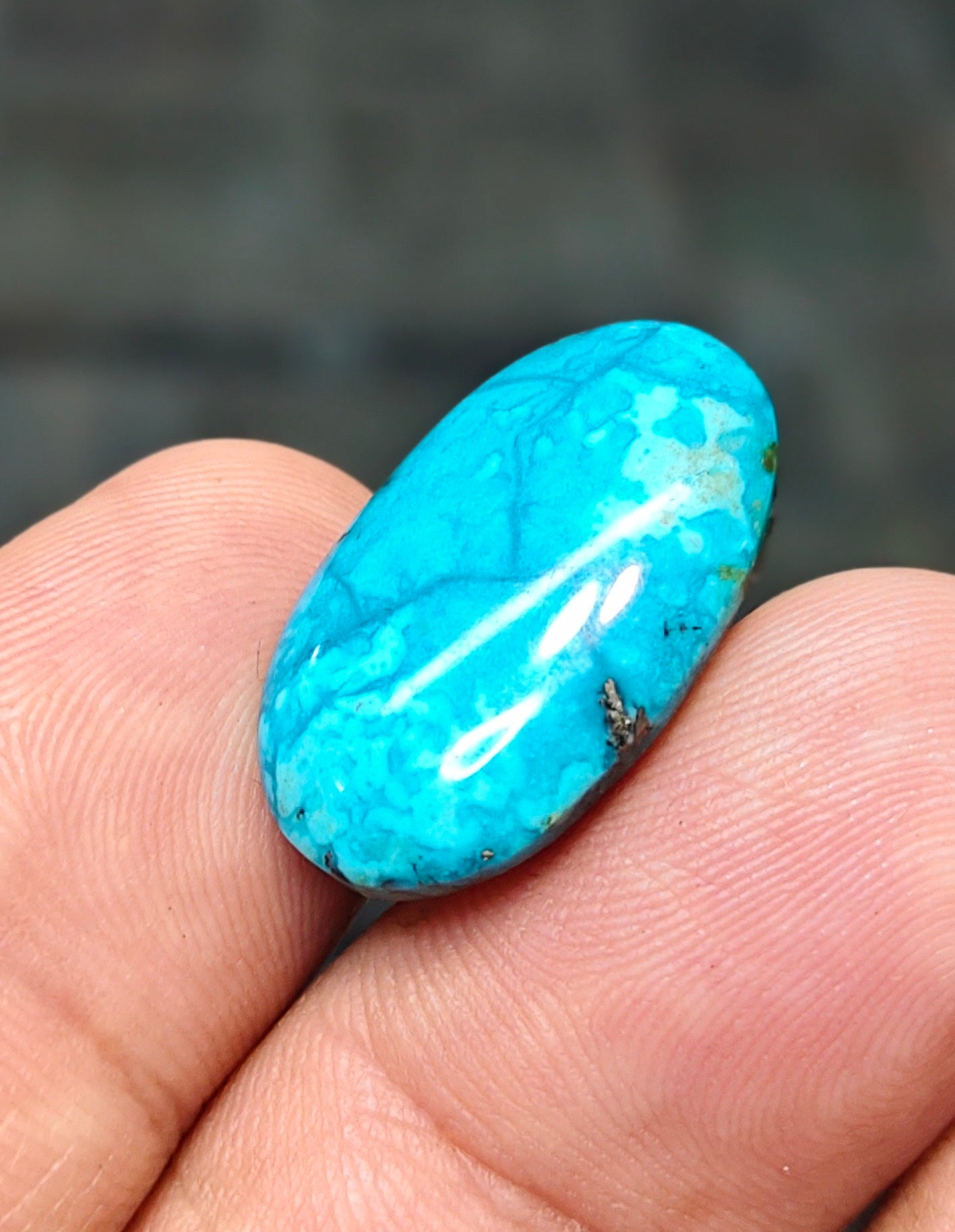 Nisha Puri Feroza (Sona Patti)