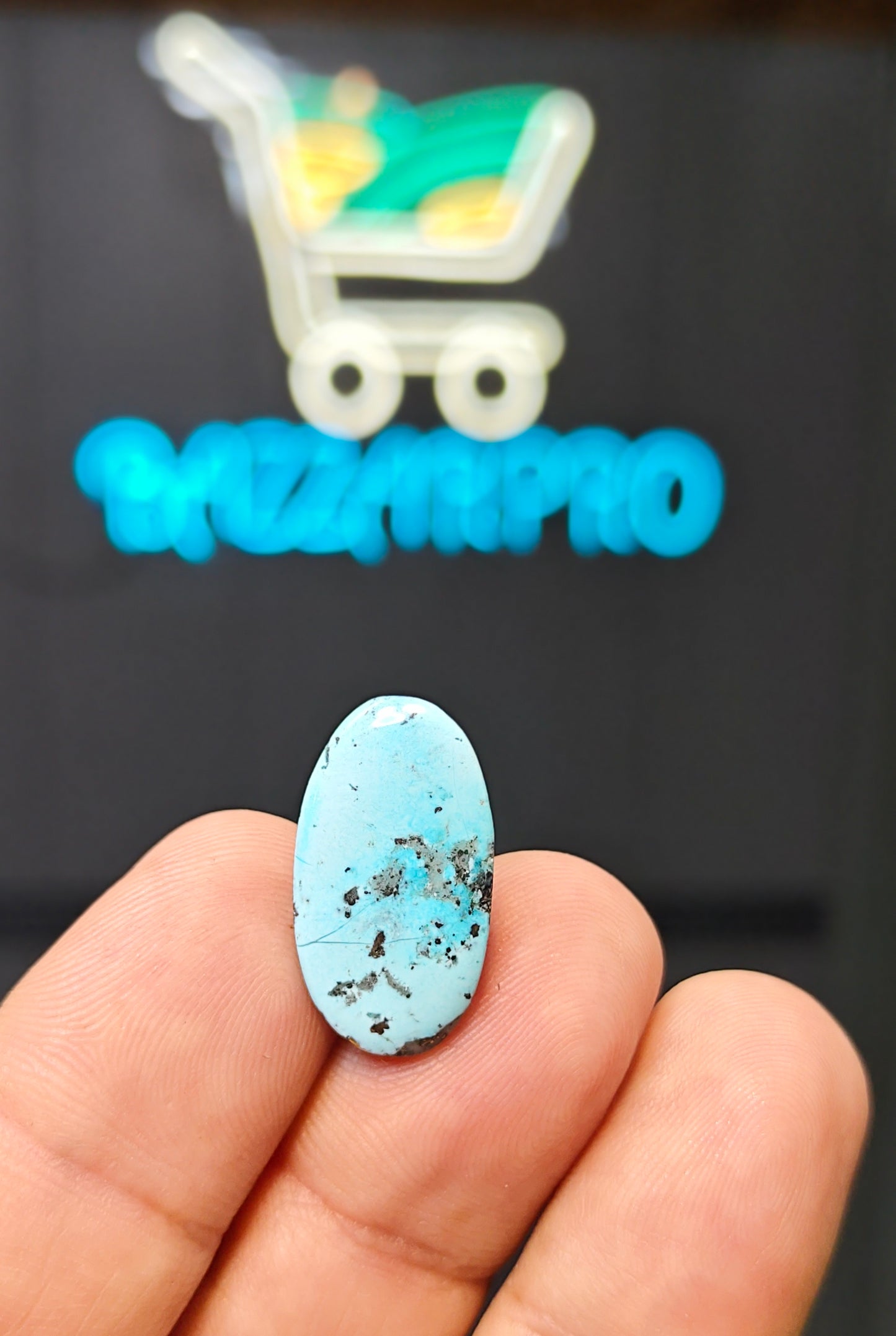 Nisha Puri Feroza (Sona Patti)